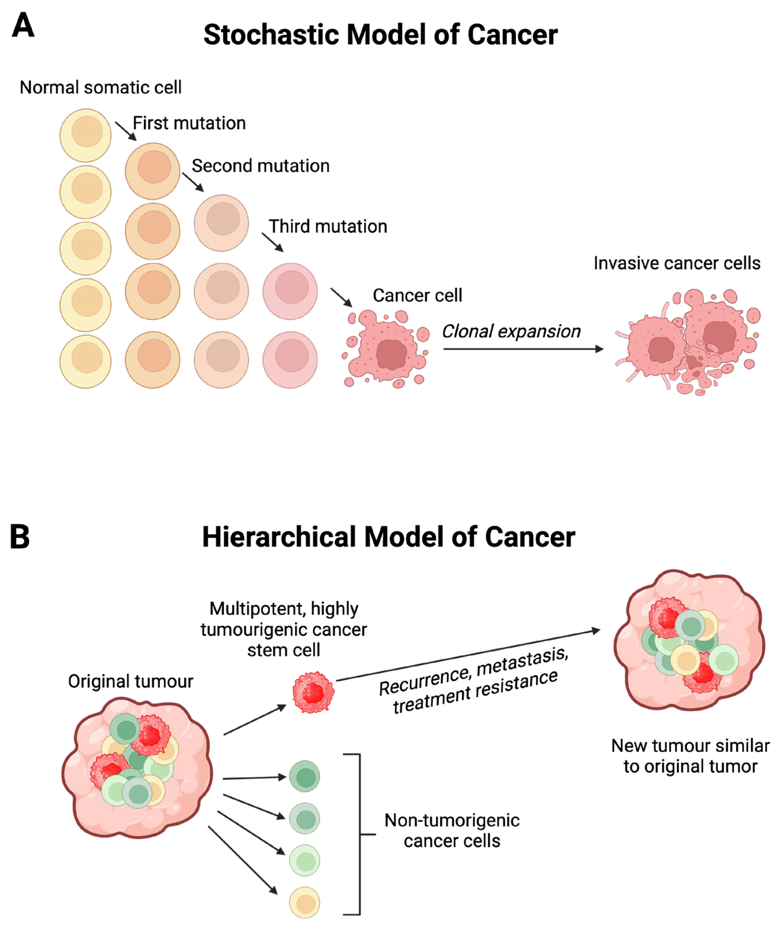Preprints 108174 g001