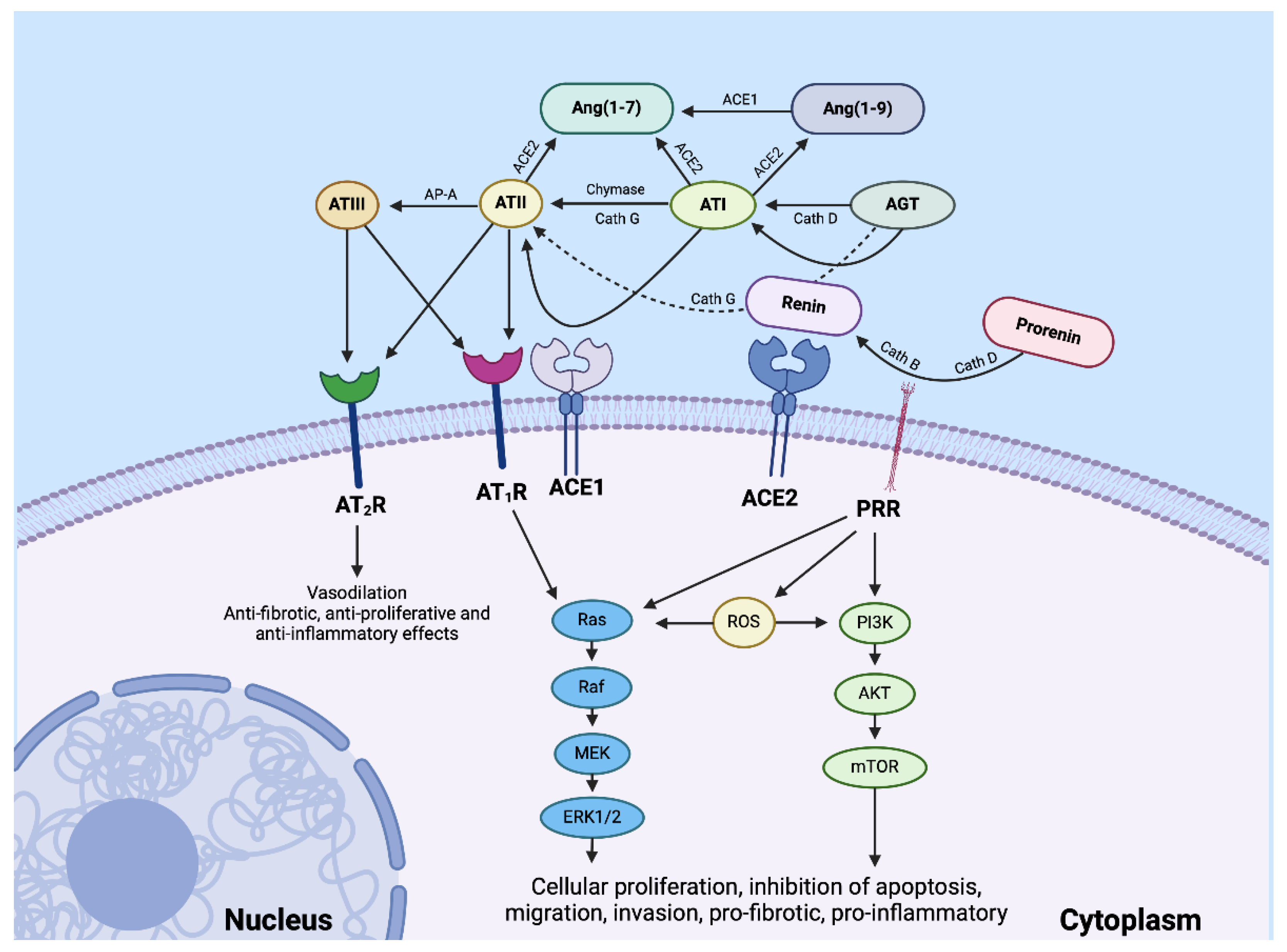 Preprints 108174 g002
