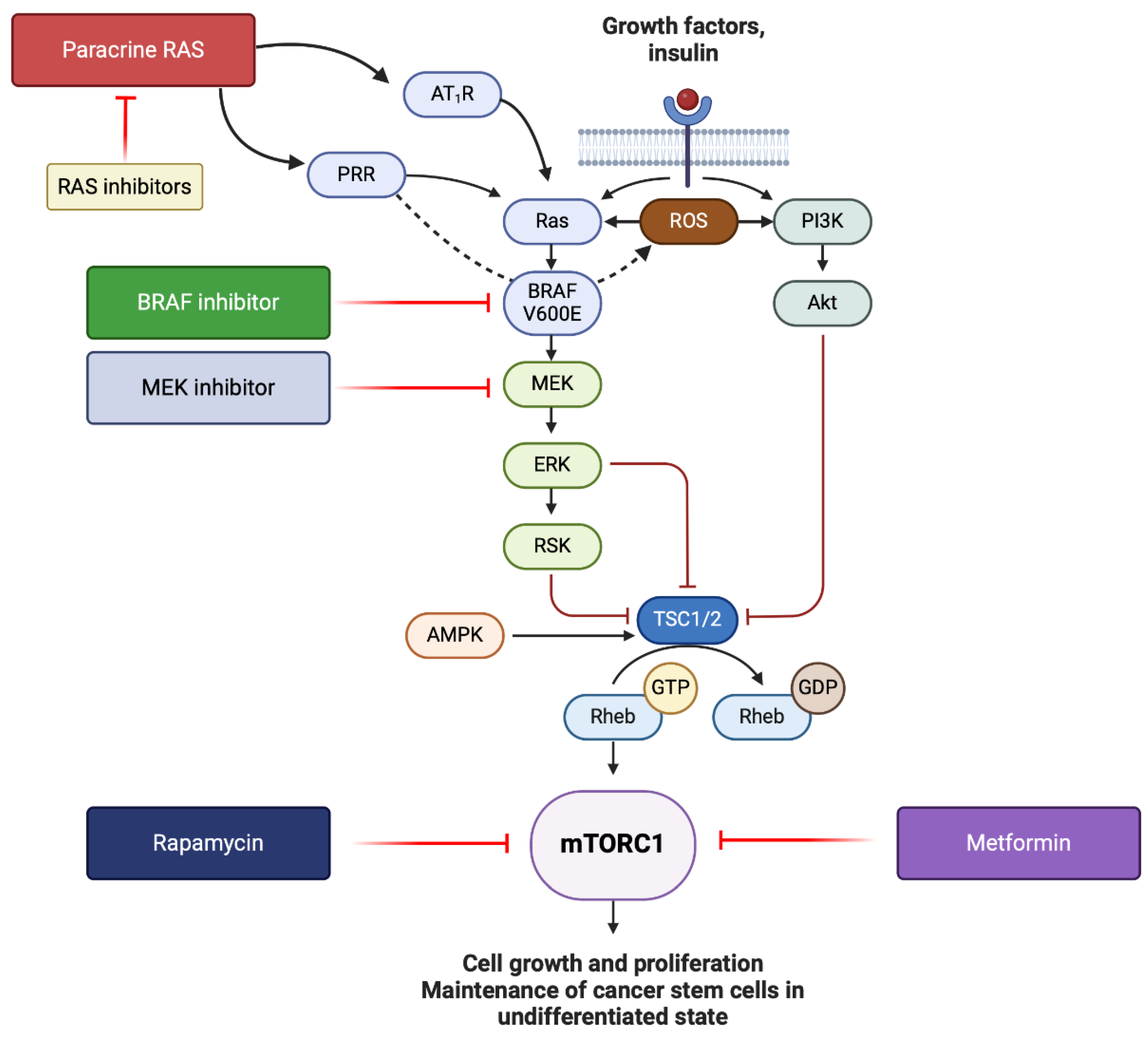 Preprints 108174 g003