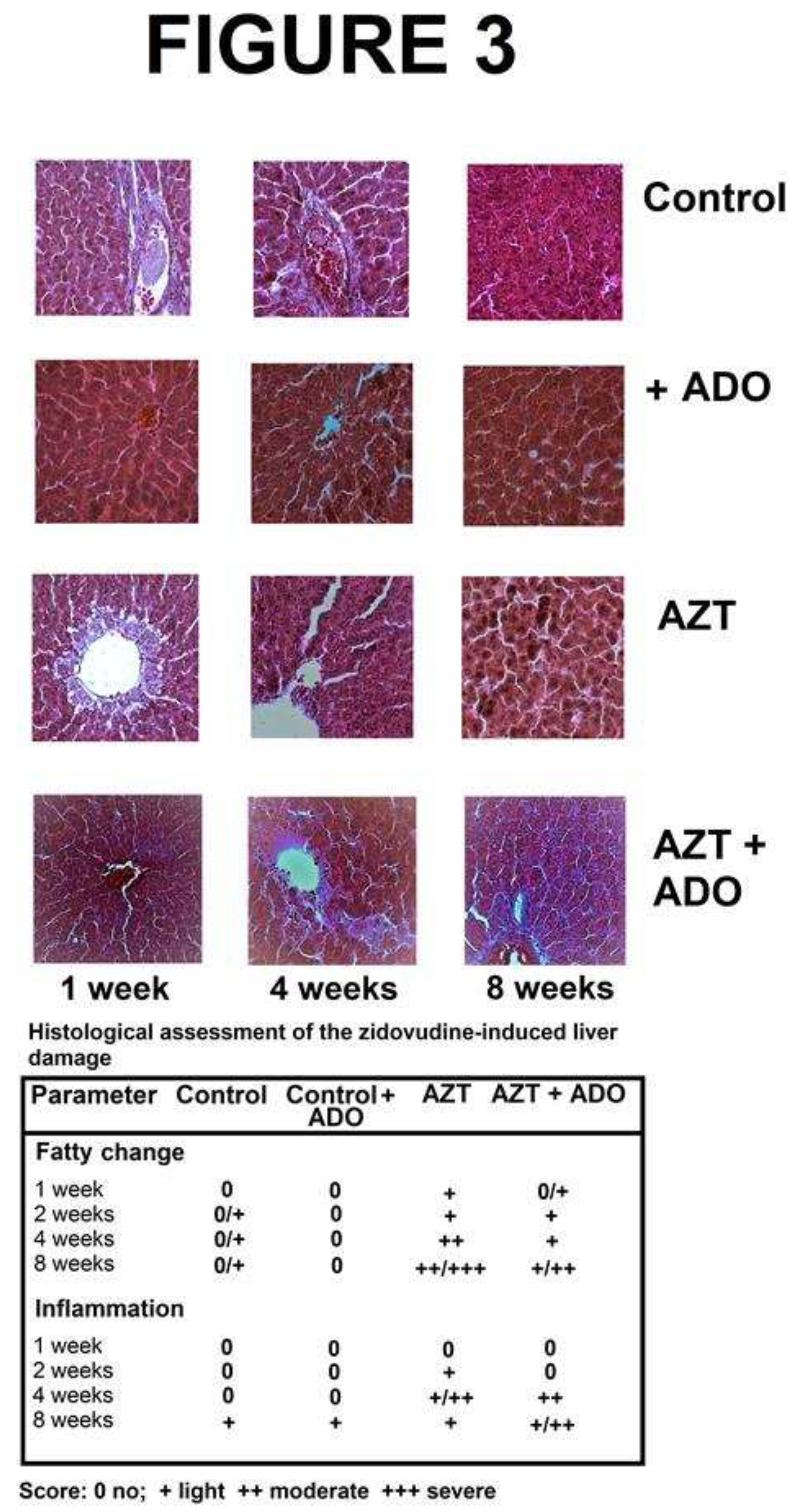 Preprints 94006 g003