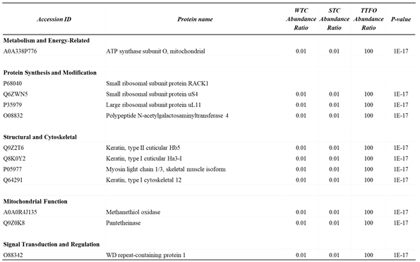 Preprints 184635 i001