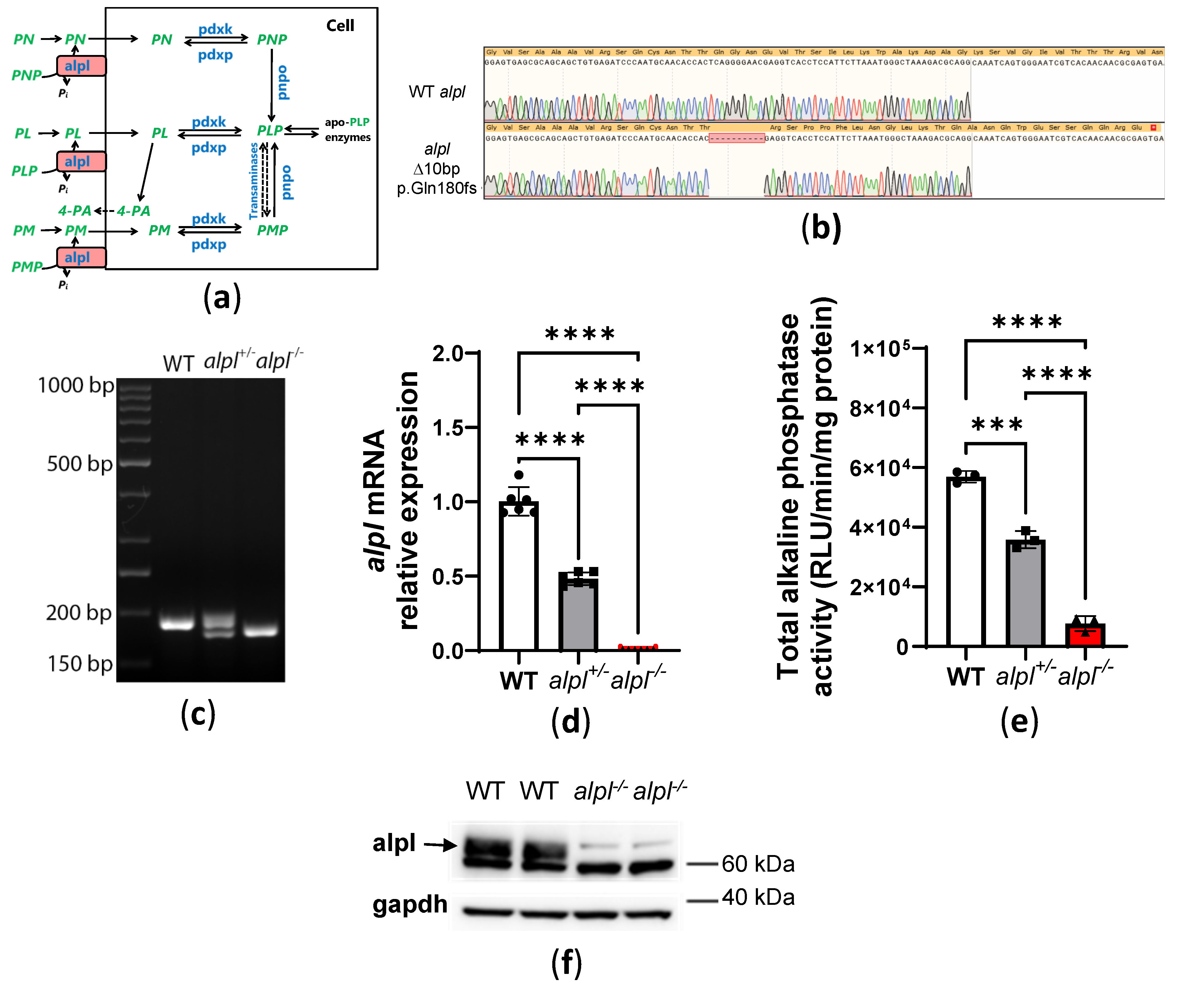 Preprints 151505 g001