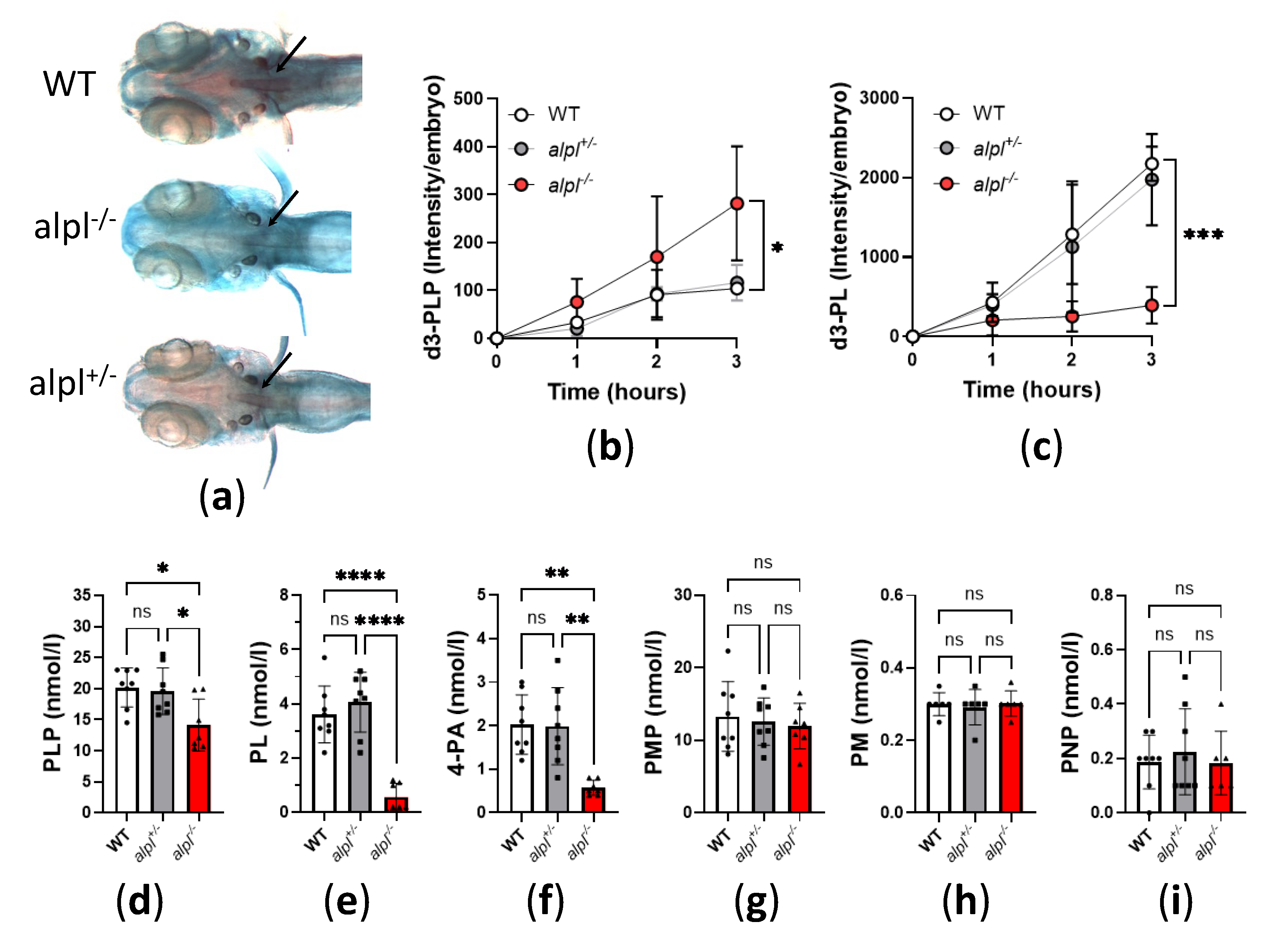 Preprints 151505 g002