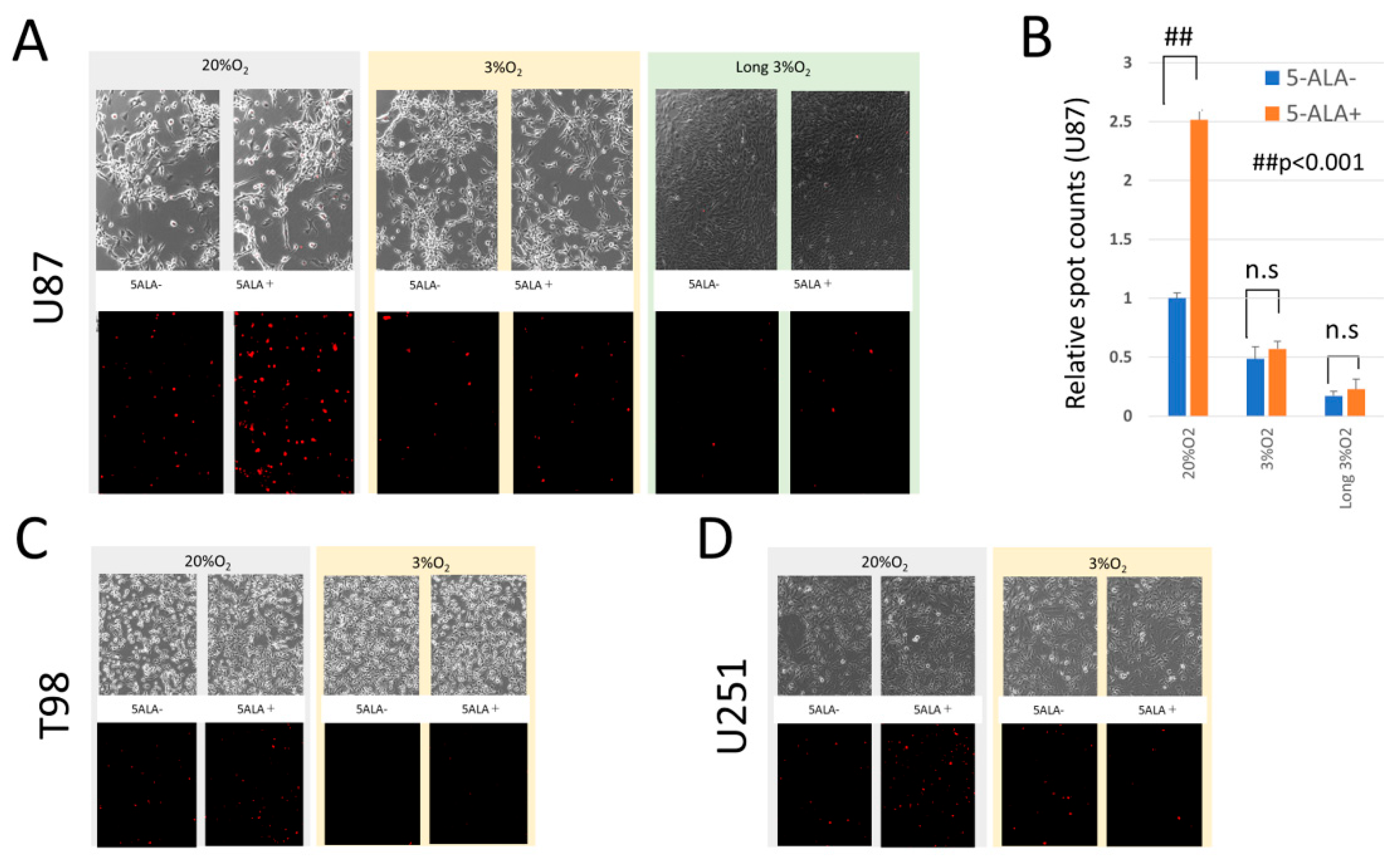 Preprints 187207 g002