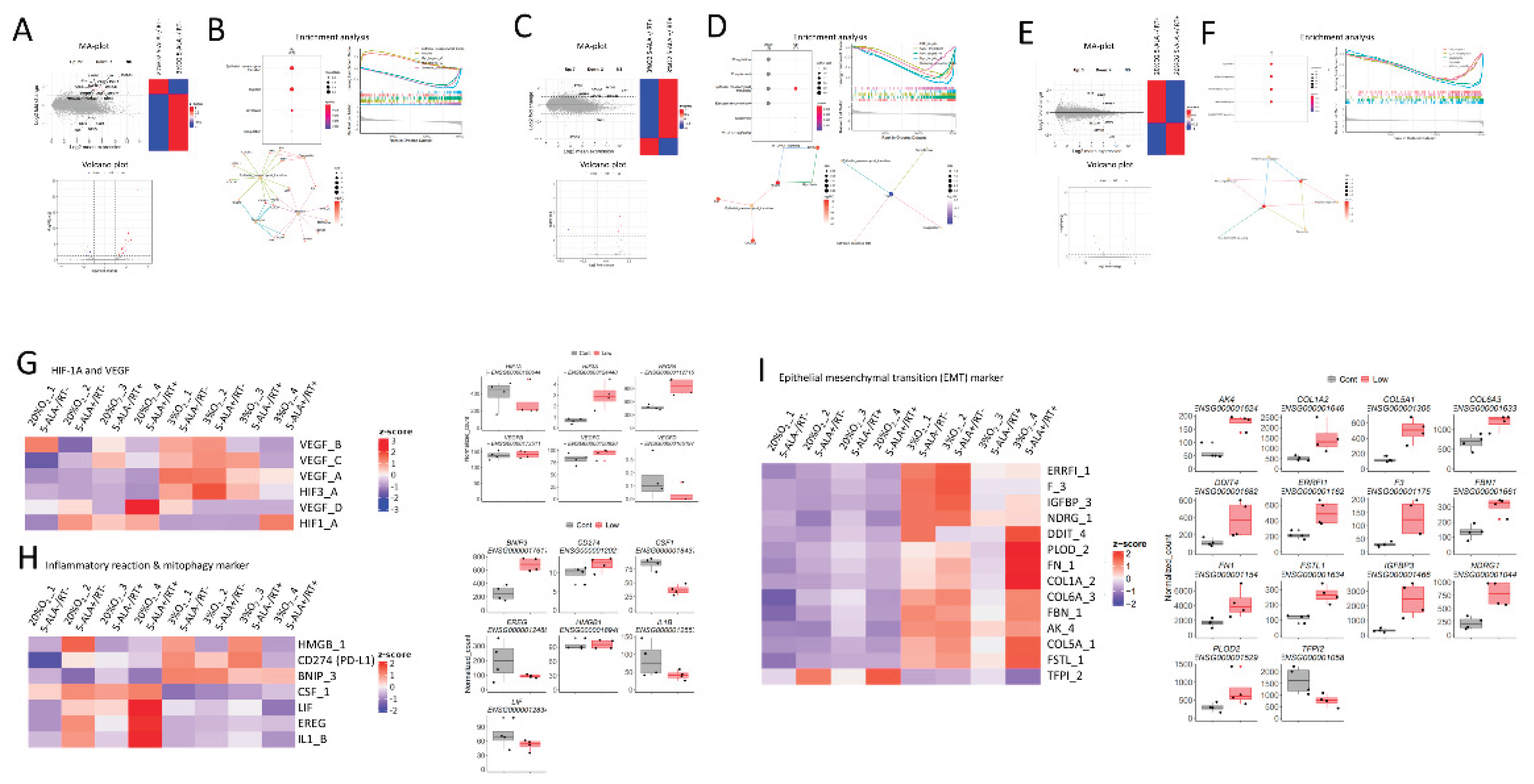 Preprints 187207 g003