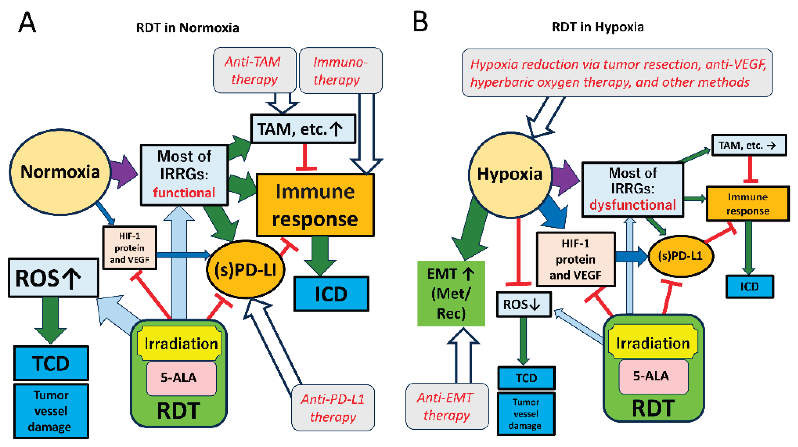 Preprints 187207 g006