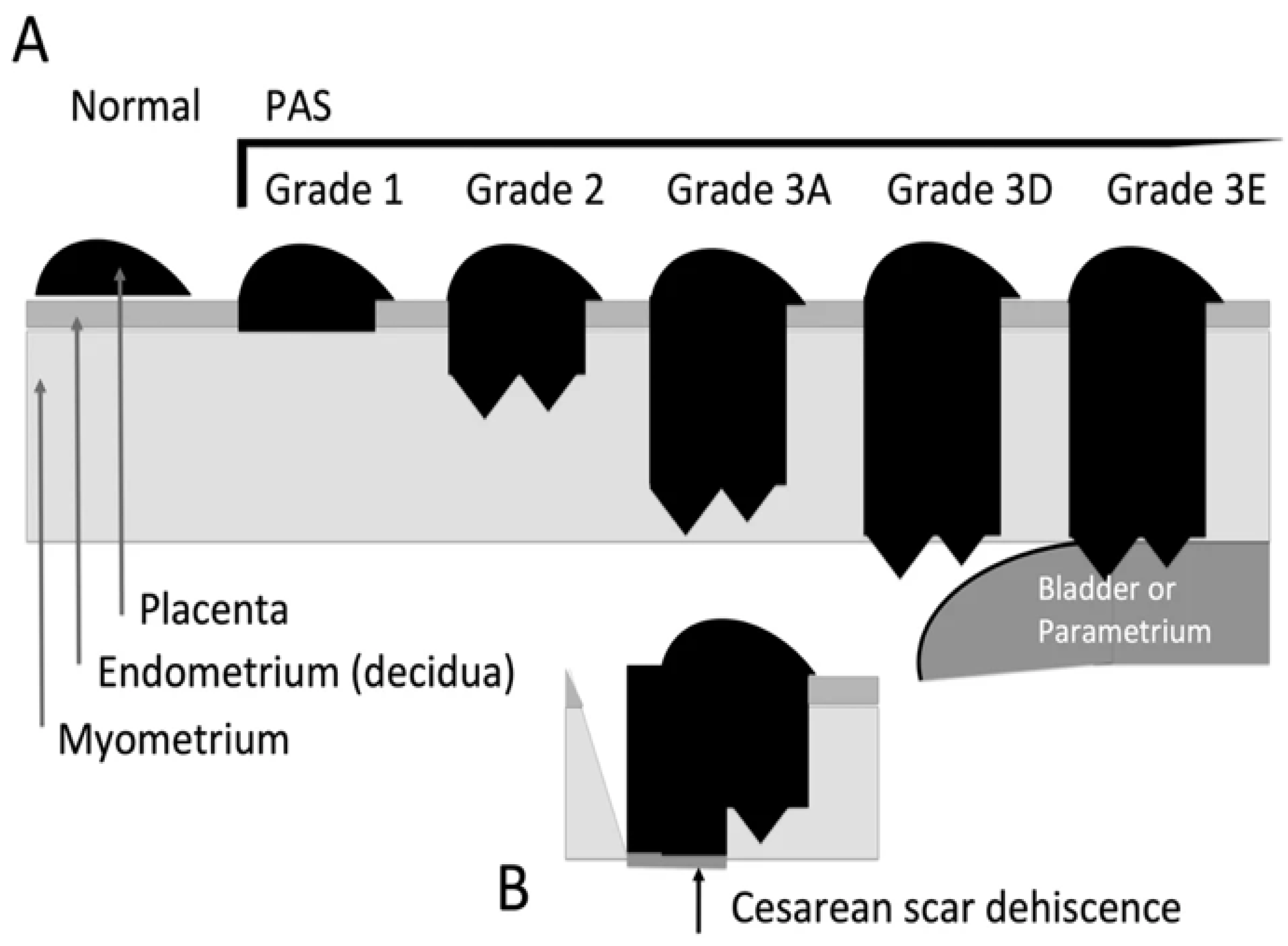 Preprints 140264 g001