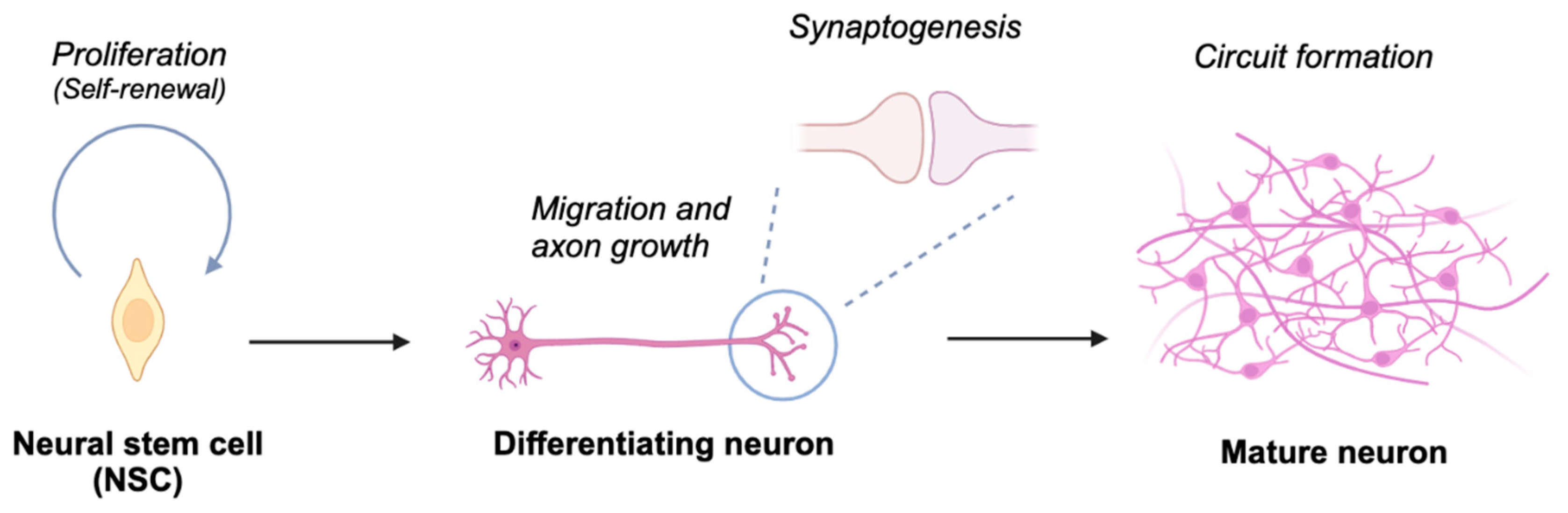 Preprints 151609 g002