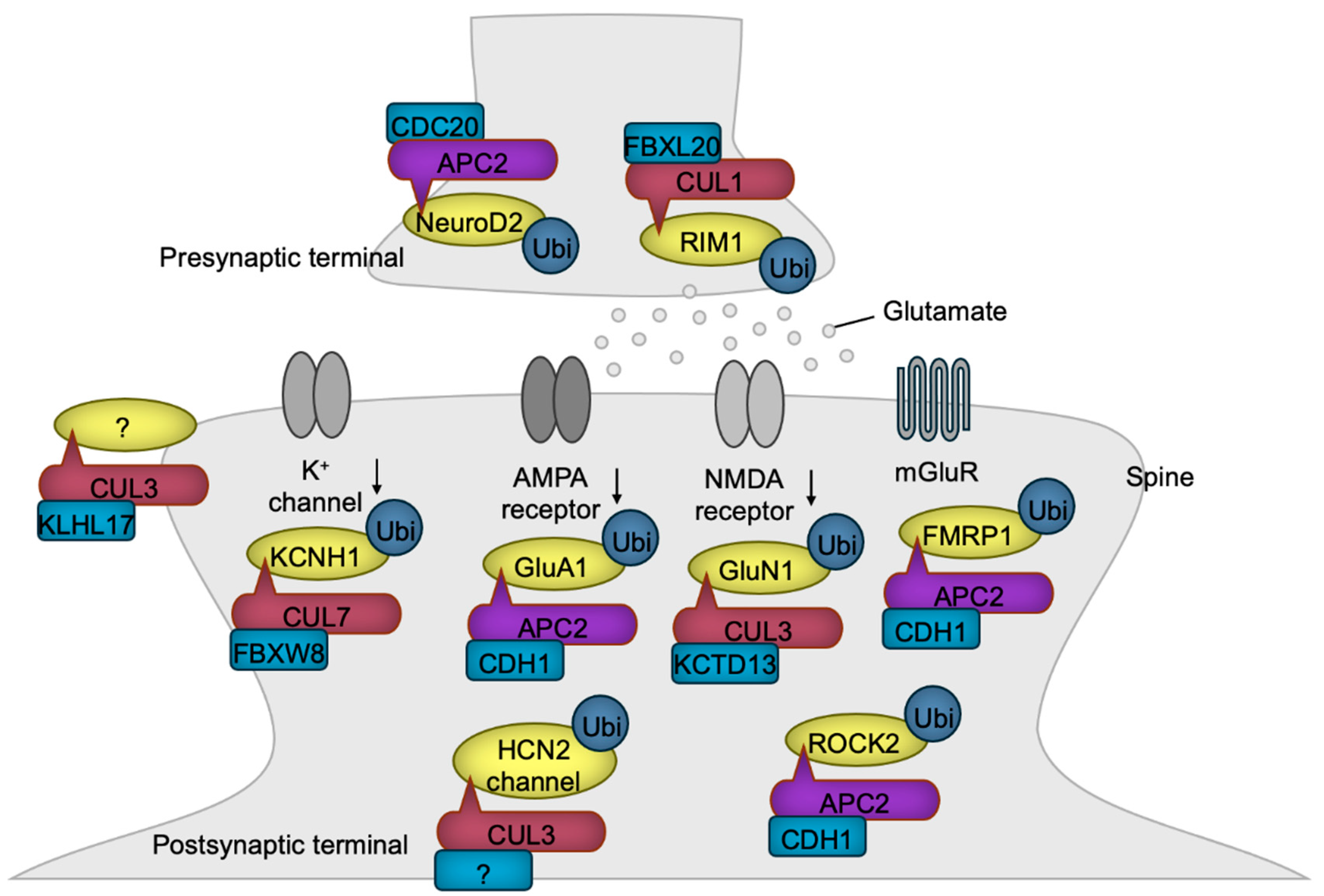 Preprints 151609 g006