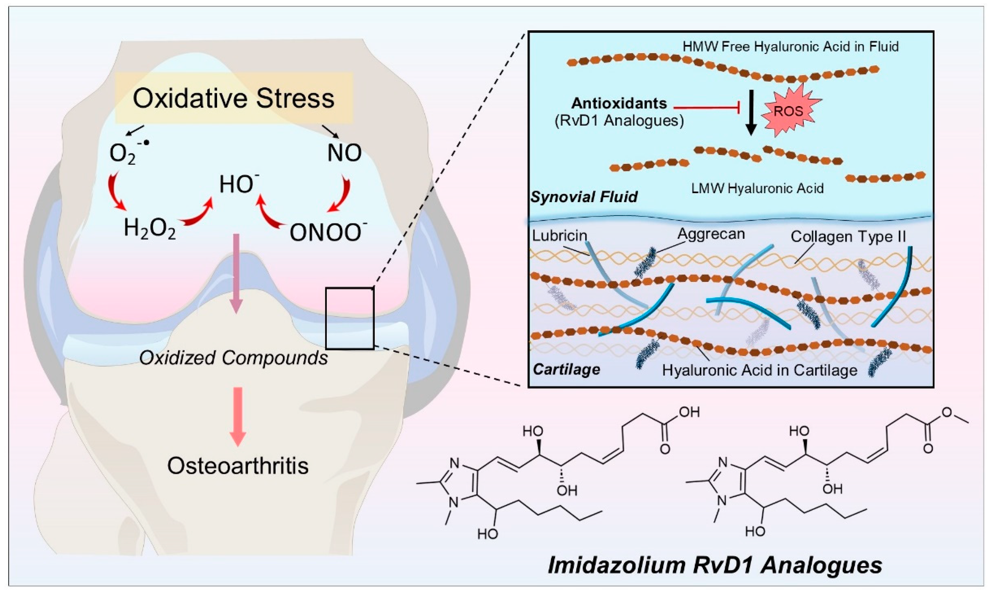 Preprints 99555 g001