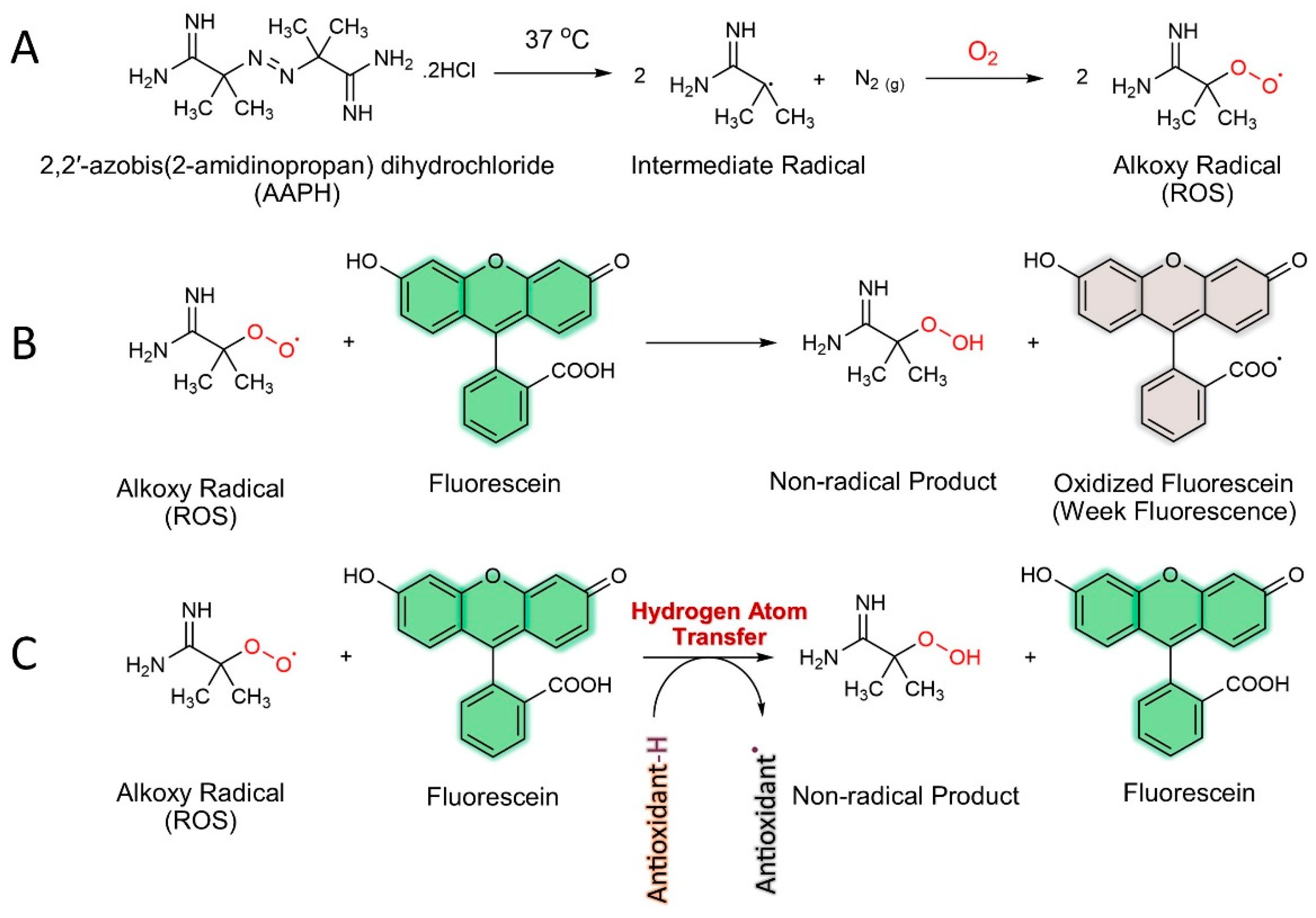Preprints 99555 g004