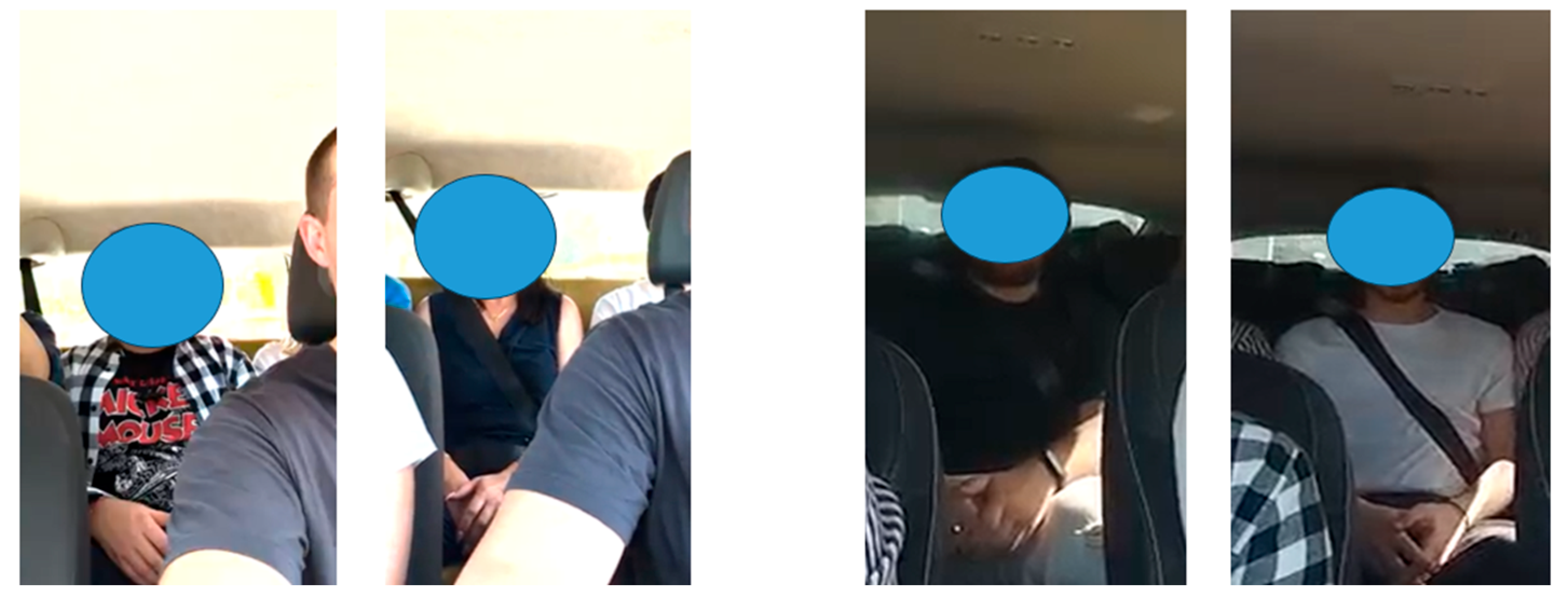 Preprints 167164 g003