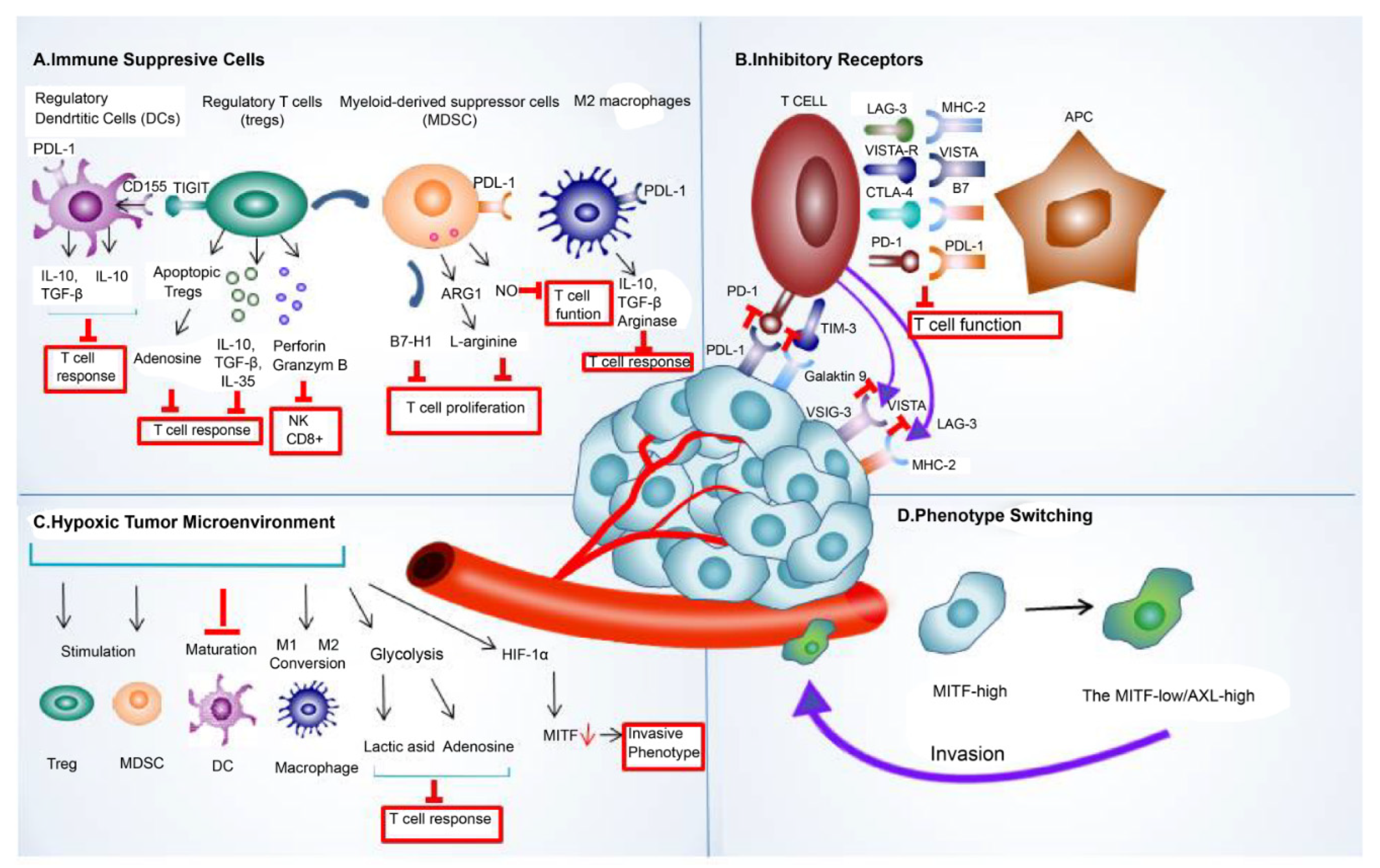 Preprints 87646 g002