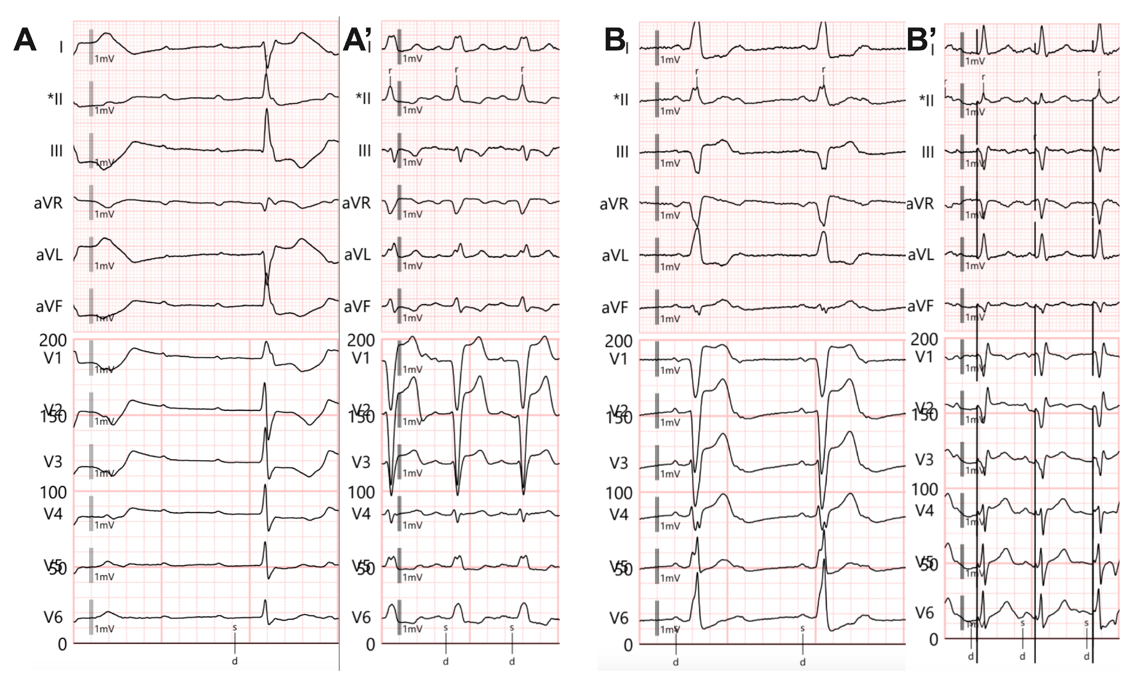 Preprints 156165 g002