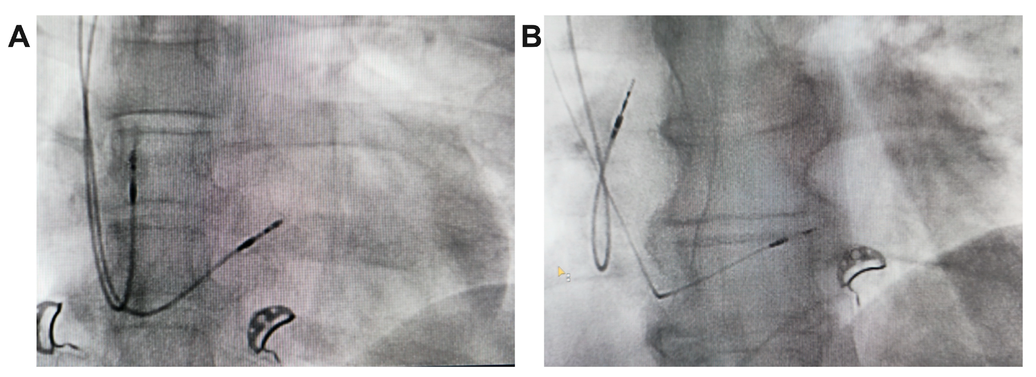 Preprints 156165 g003