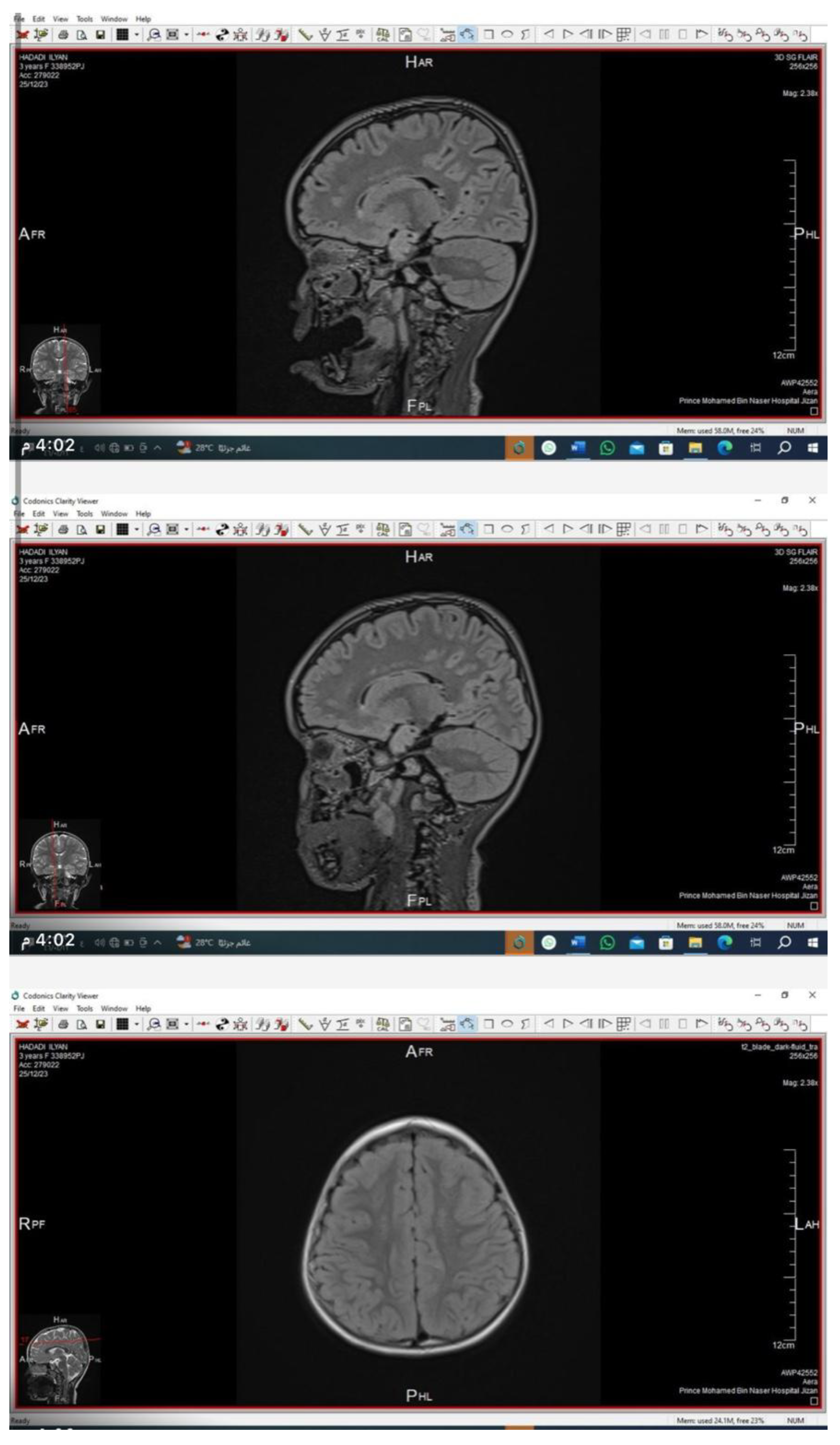 Preprints 181080 i001