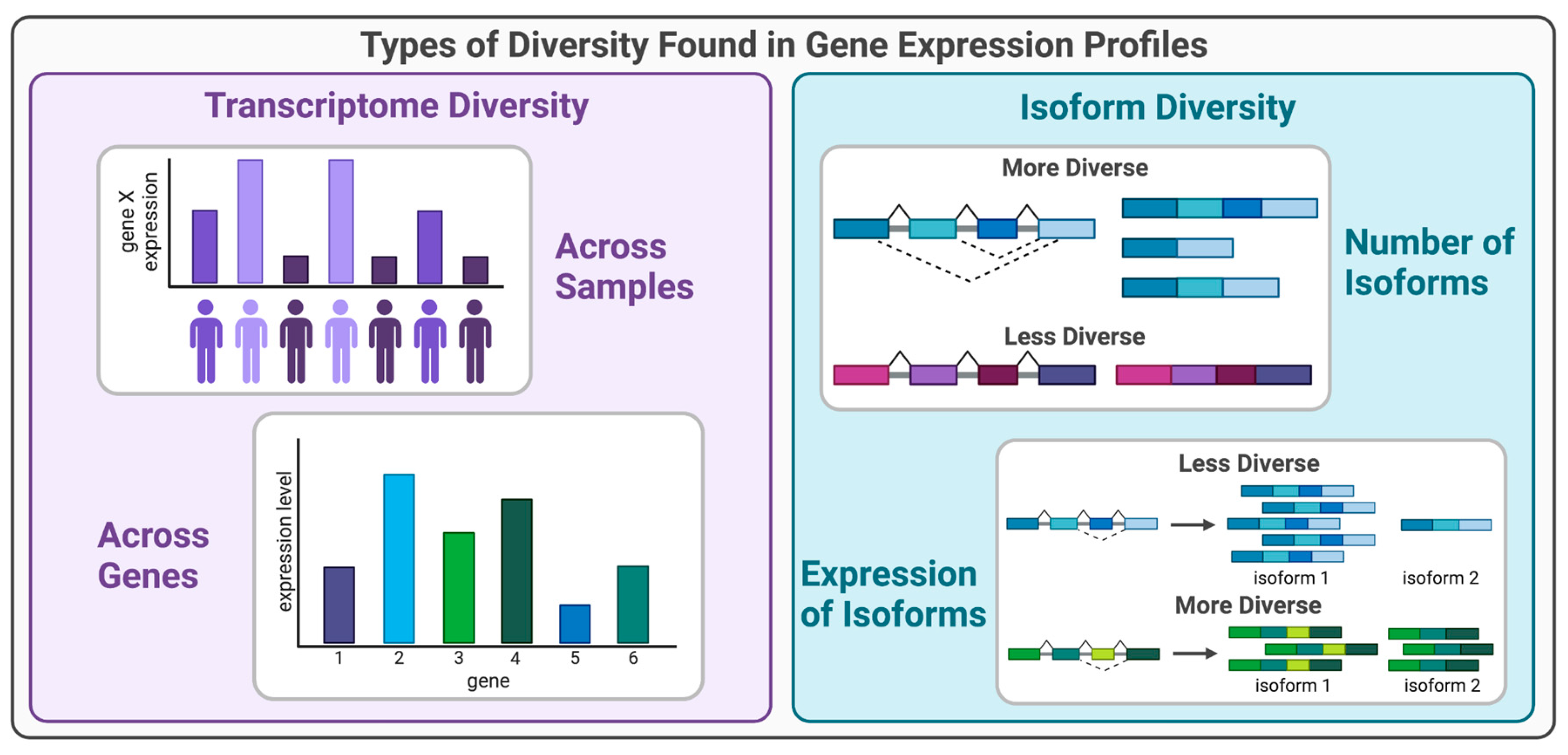 Preprints 67351 g001