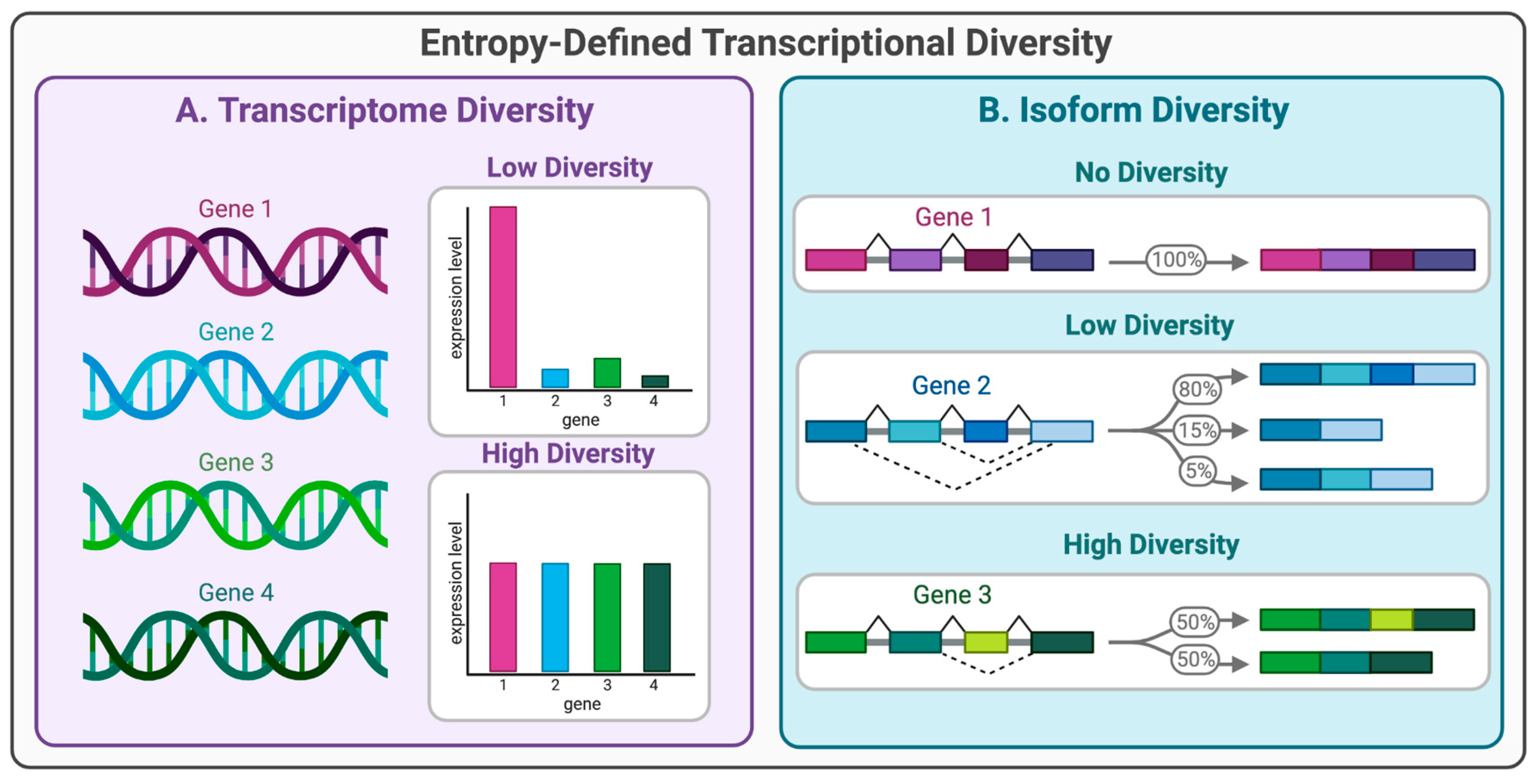 Preprints 67351 g002