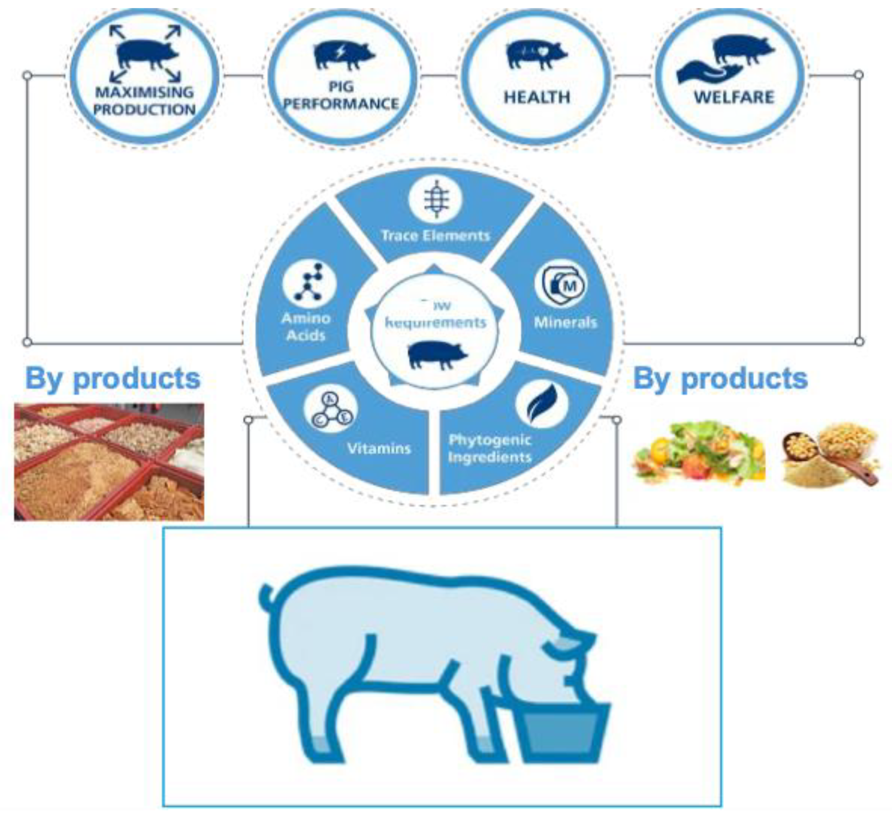 Preprints 182316 g001