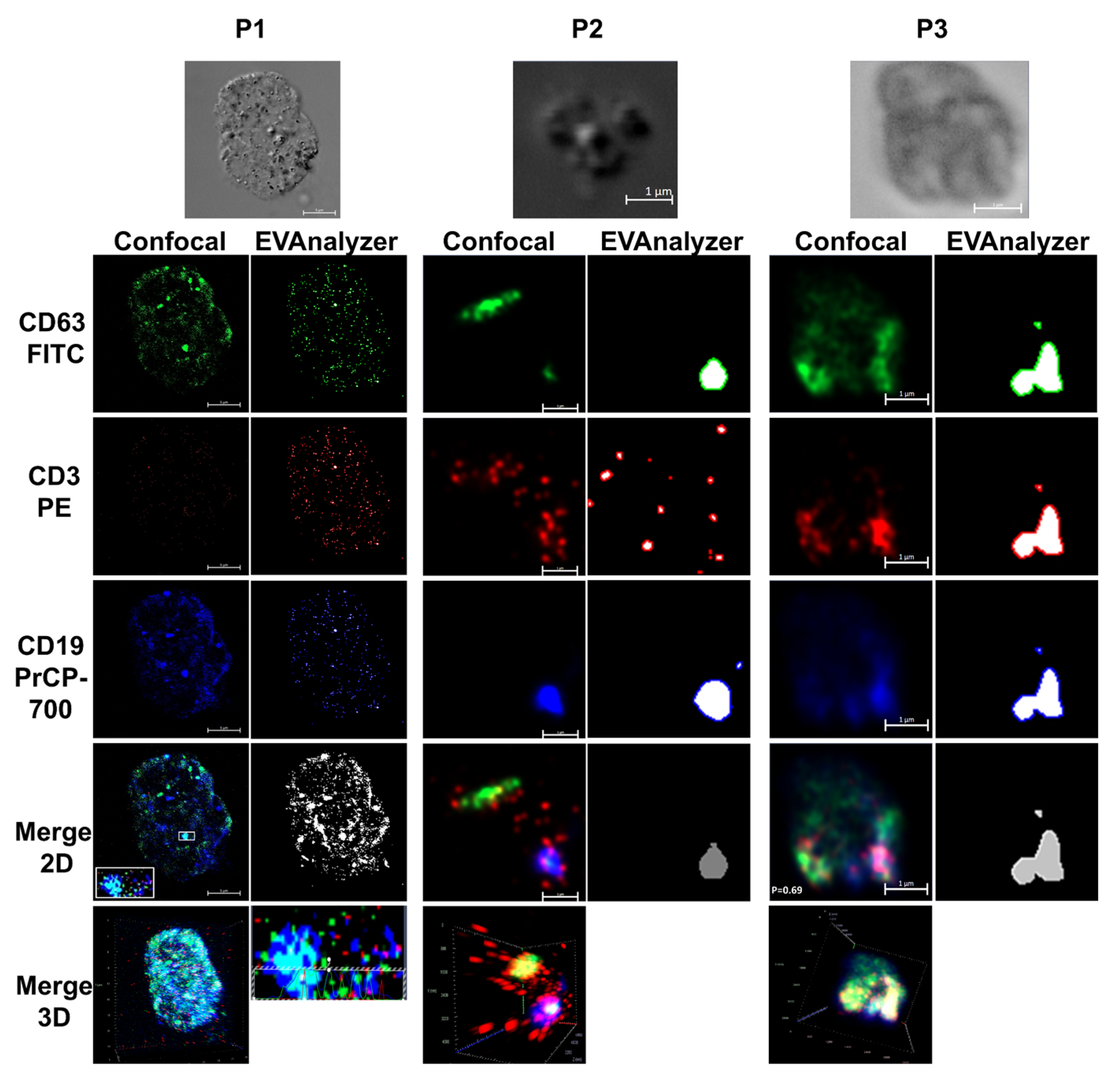 Preprints 201195 g006