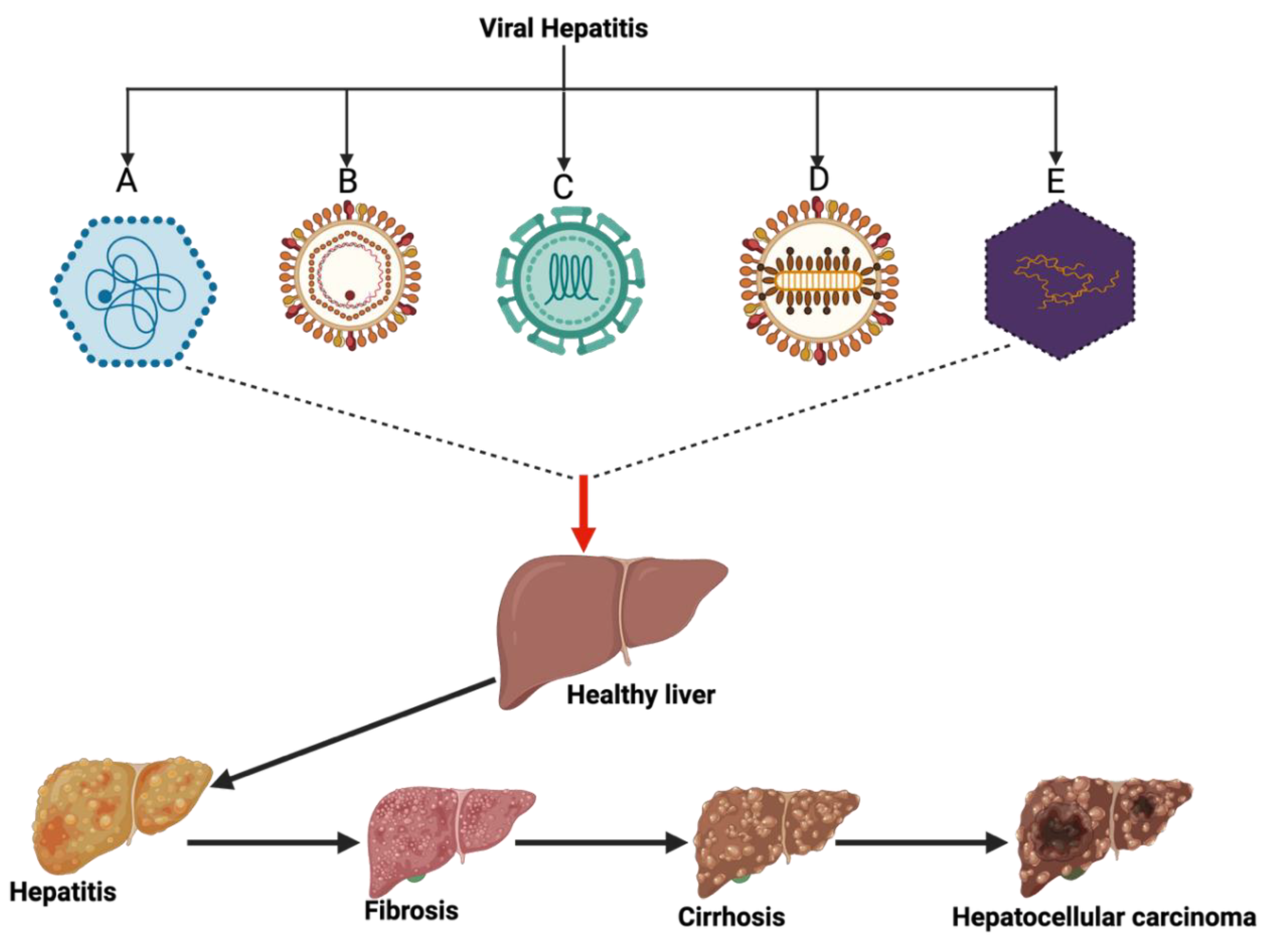 Preprints 163552 g001