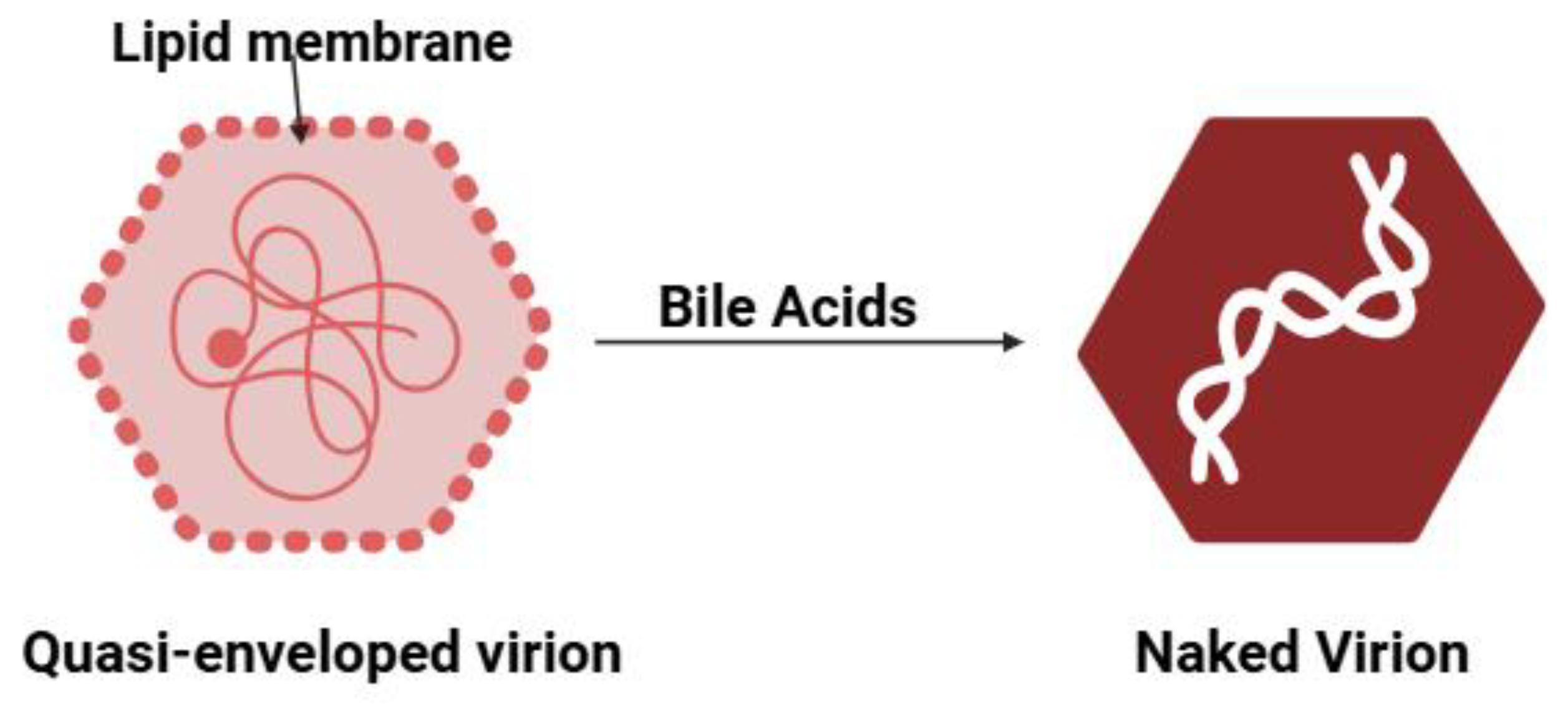Preprints 163552 g003