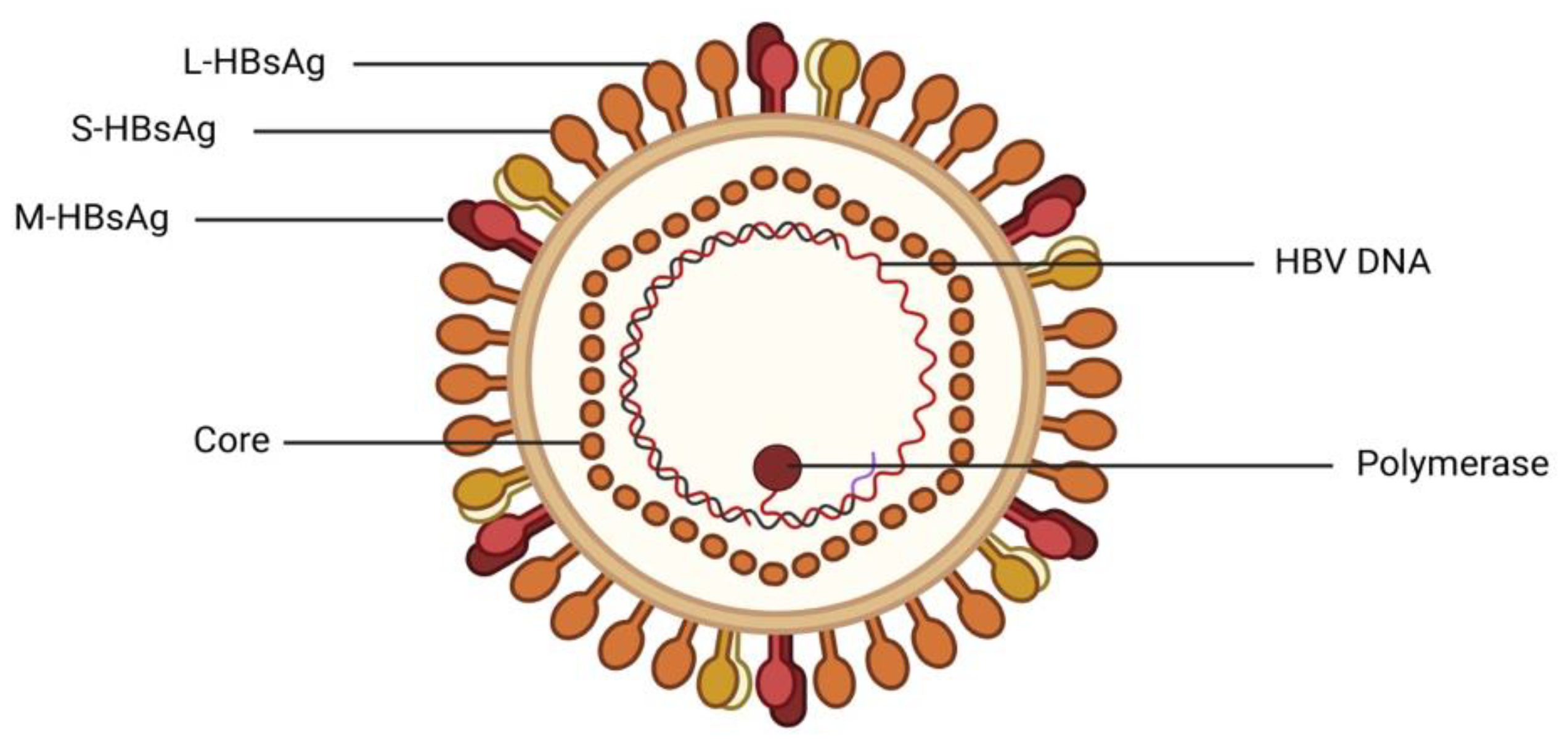 Preprints 163552 g005