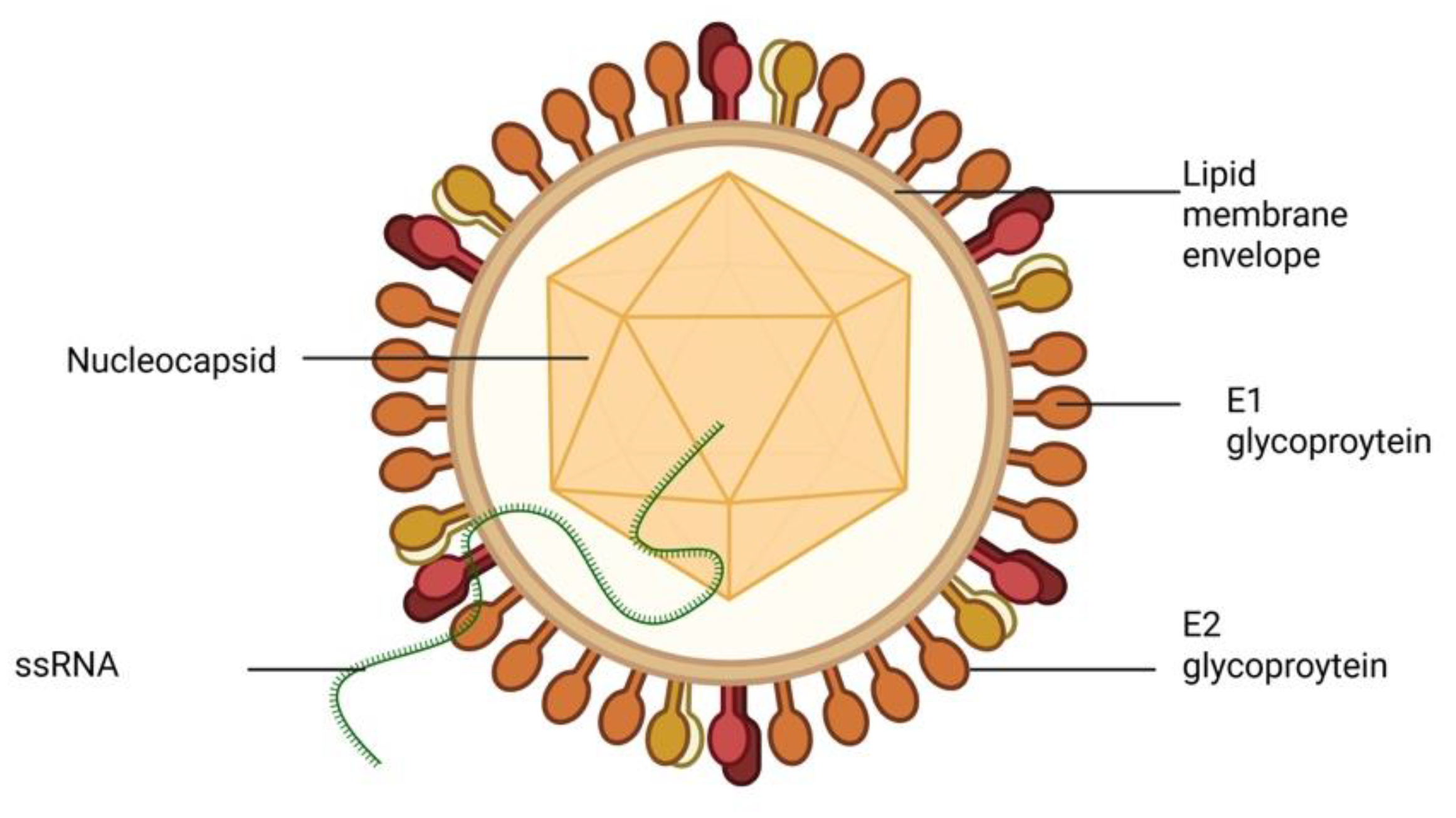 Preprints 163552 g007