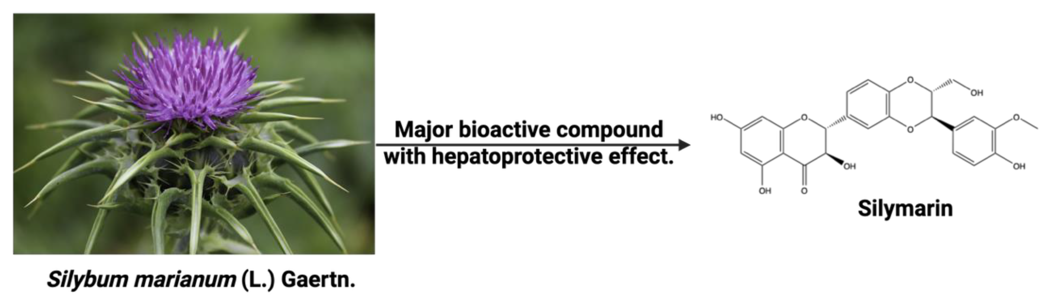 Preprints 163552 g013