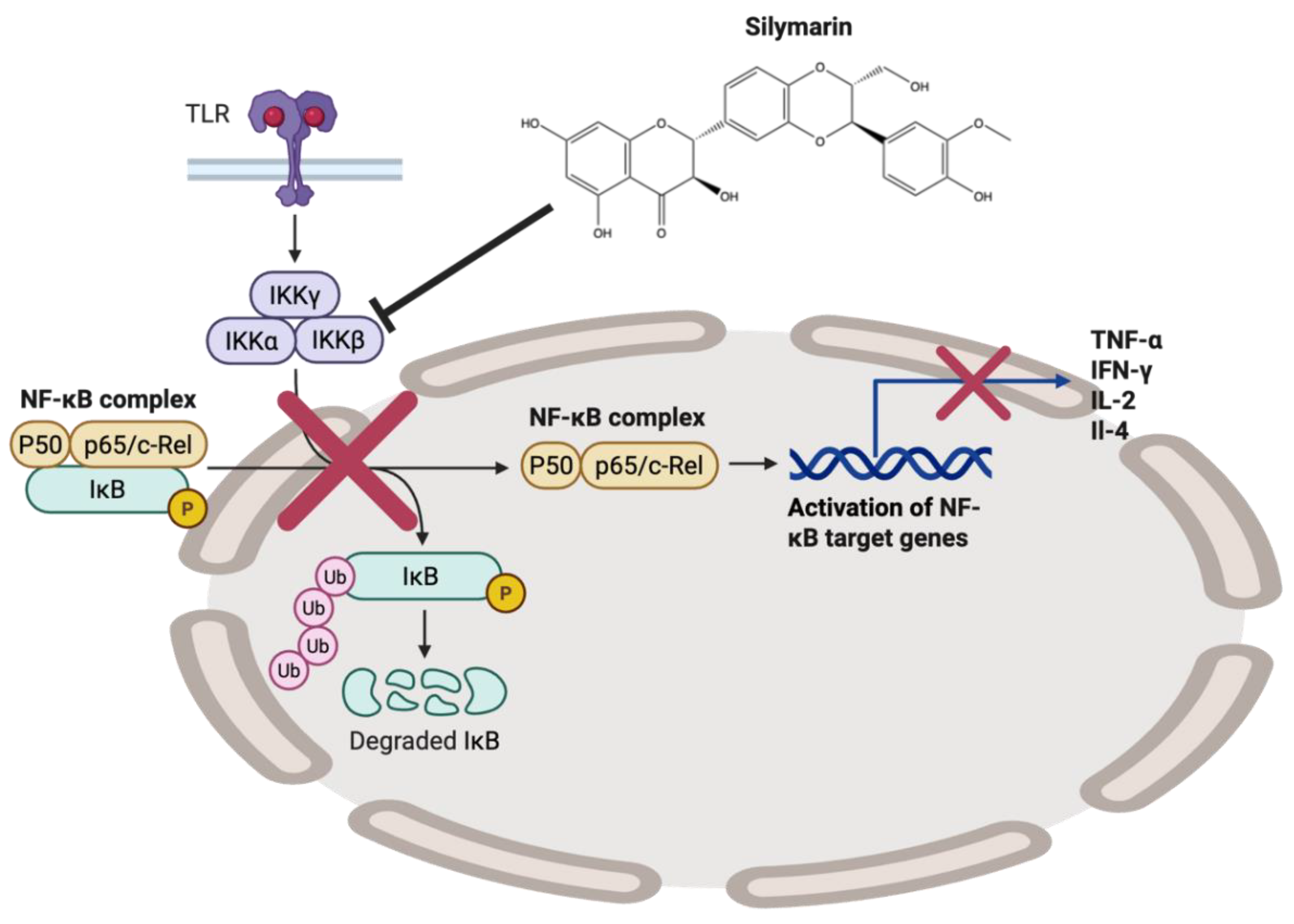 Preprints 163552 g014