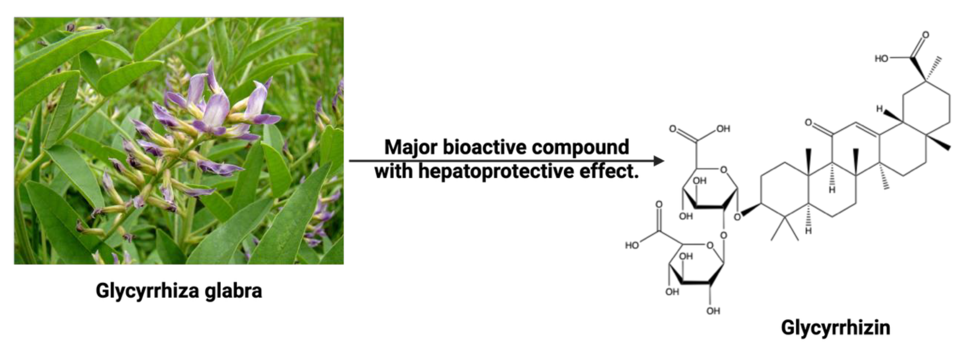 Preprints 163552 g015