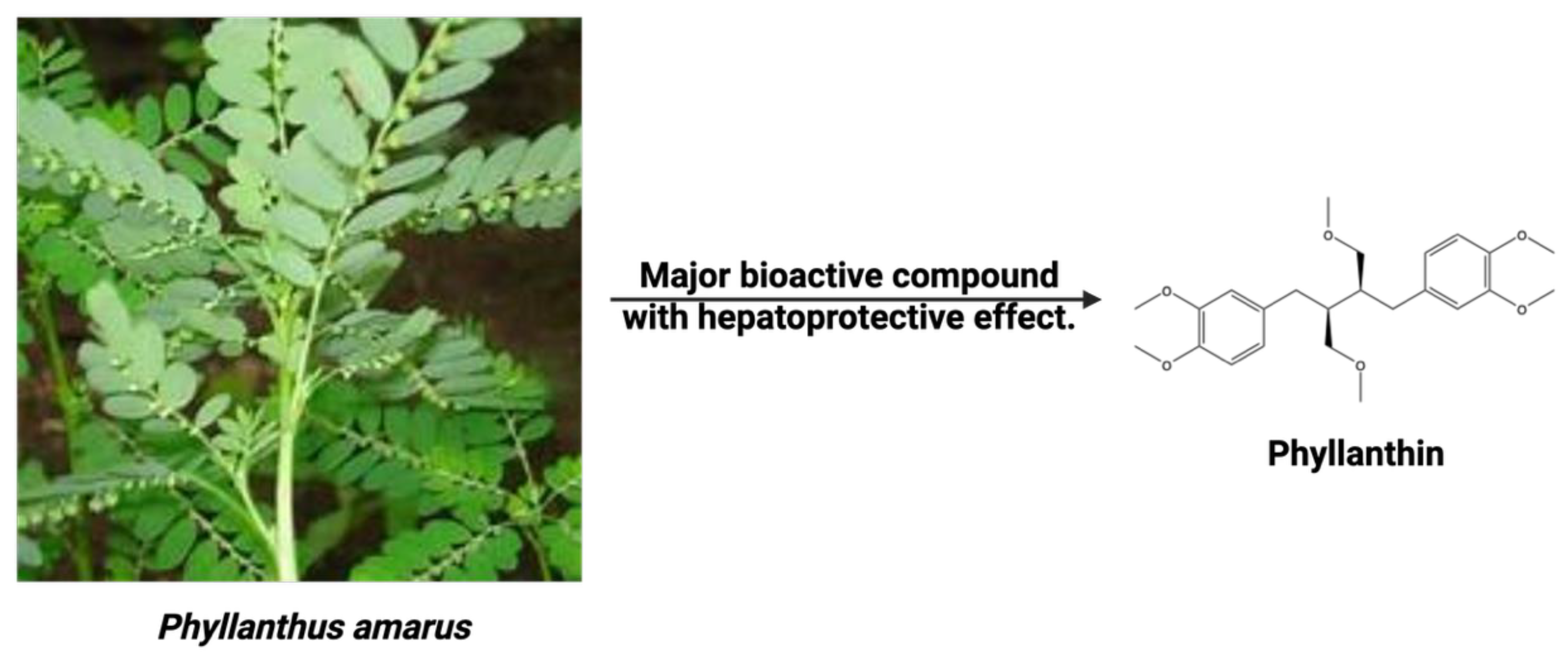 Preprints 163552 g016