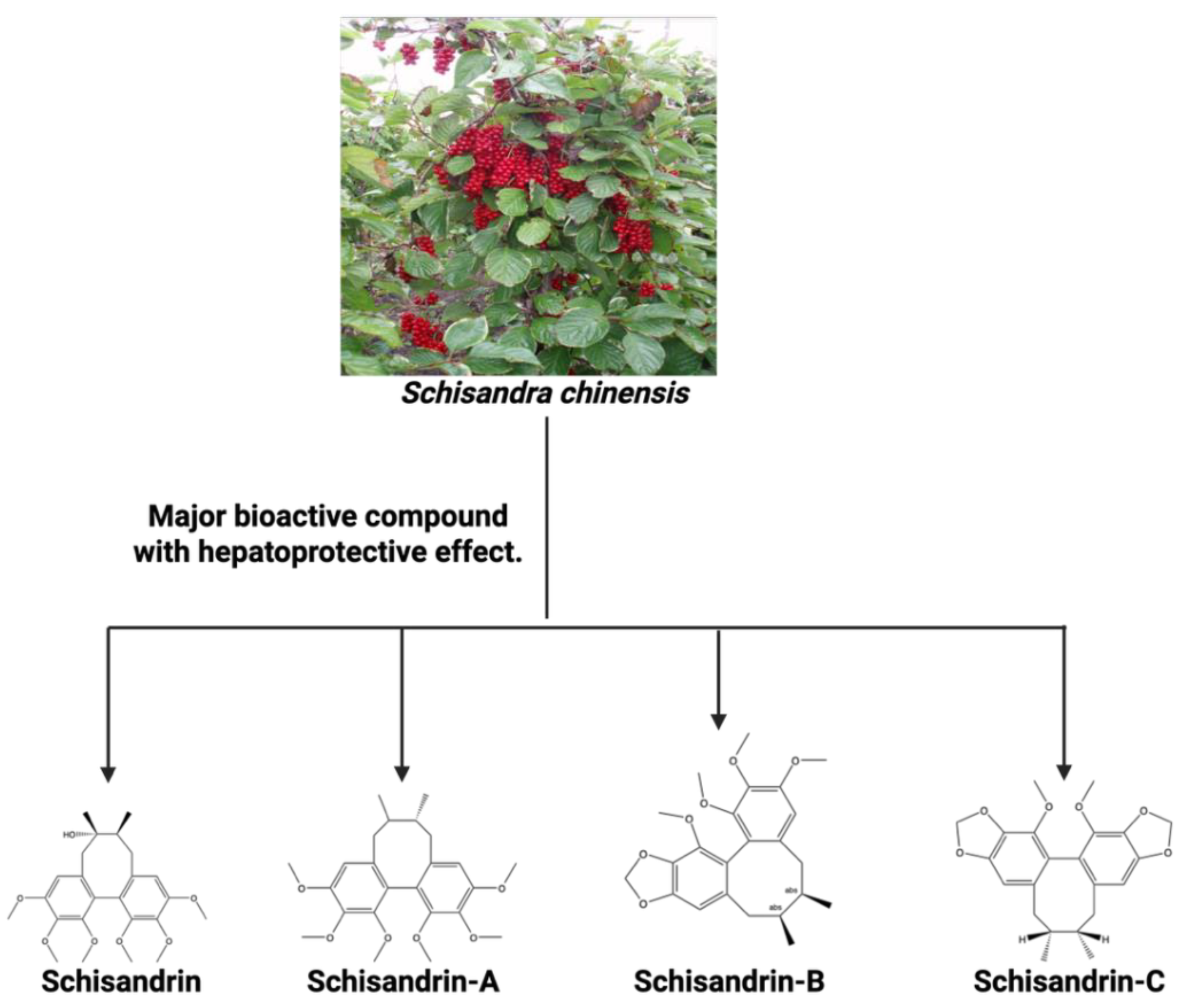 Preprints 163552 g017
