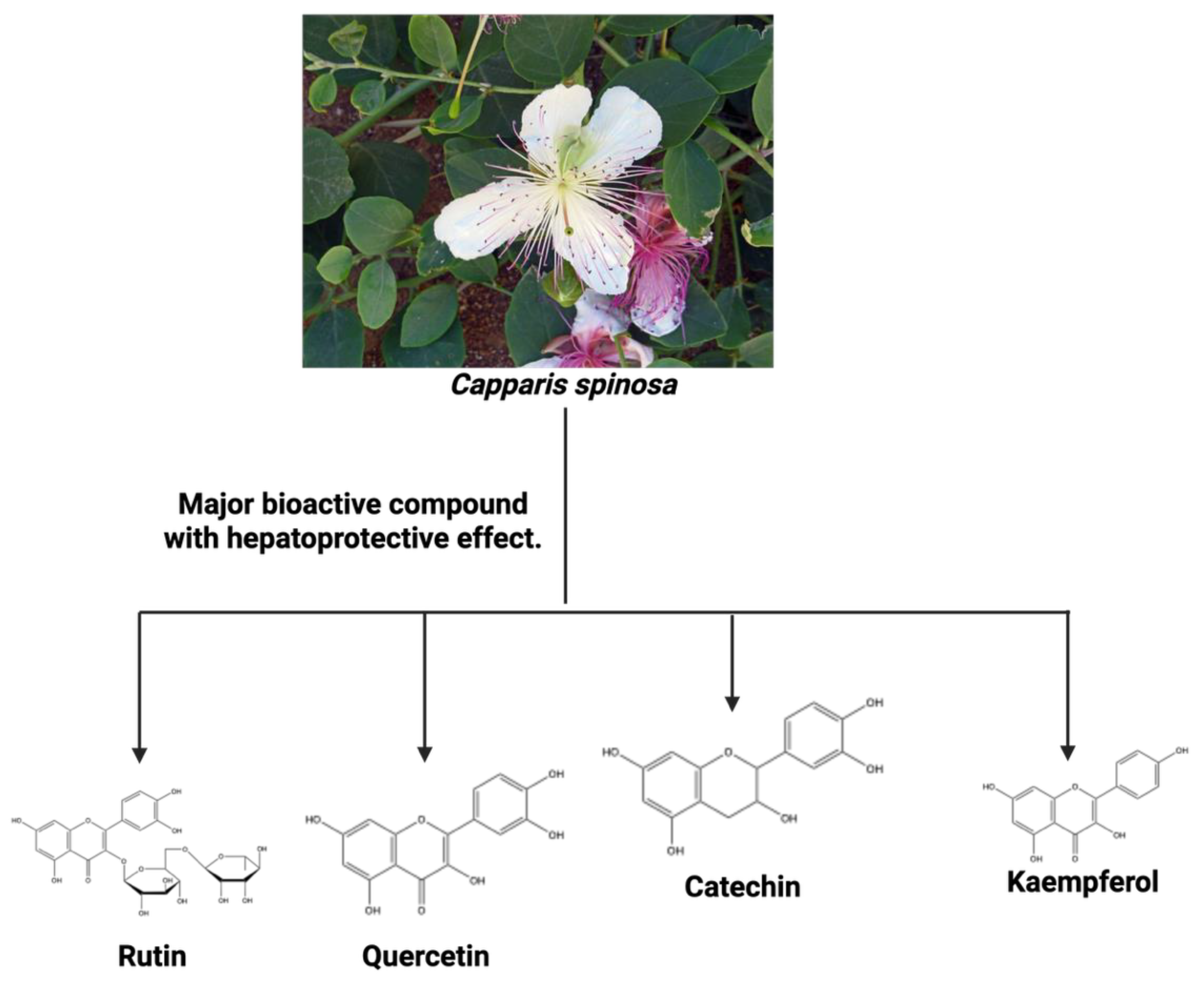 Preprints 163552 g018