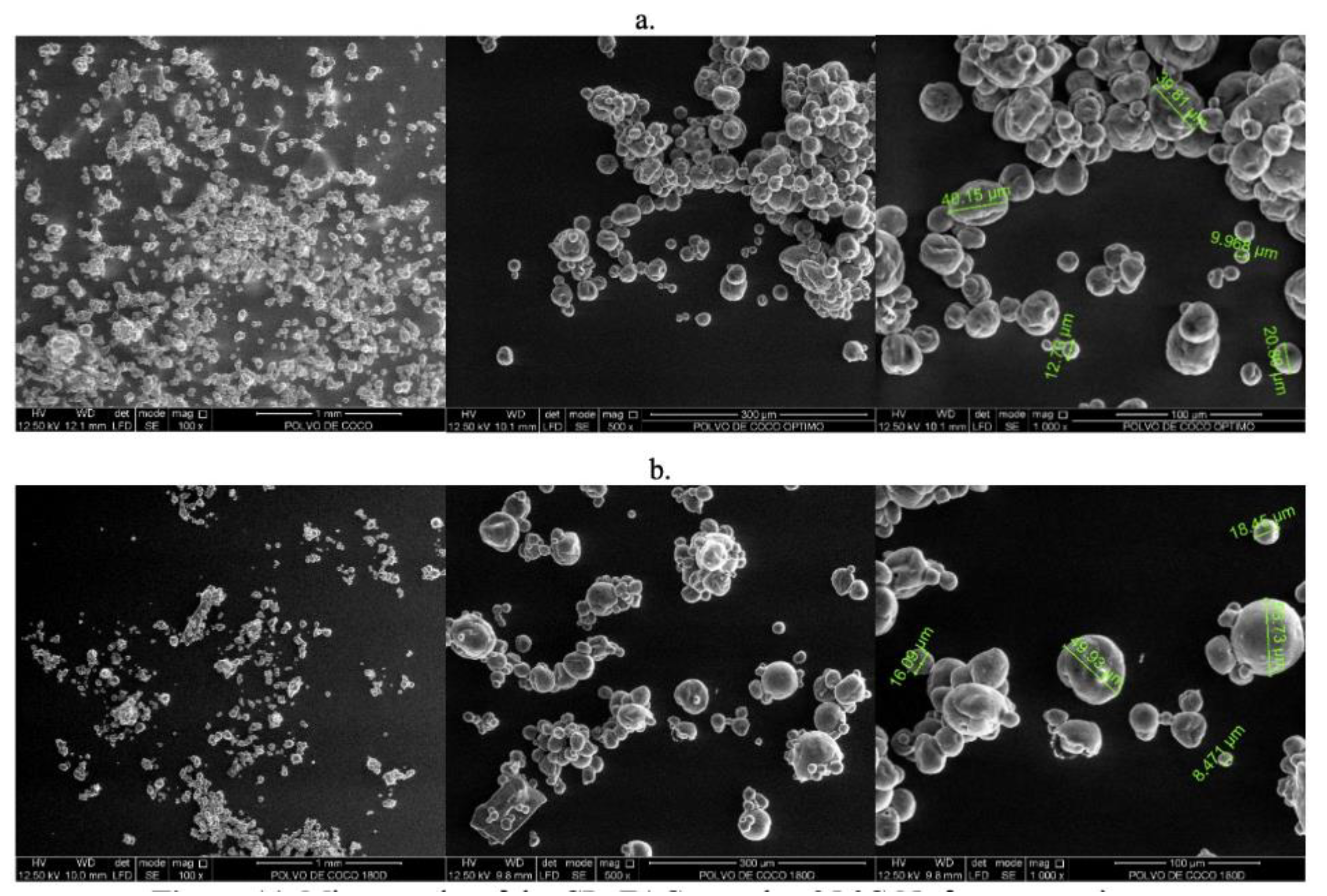 Preprints 141146 g011