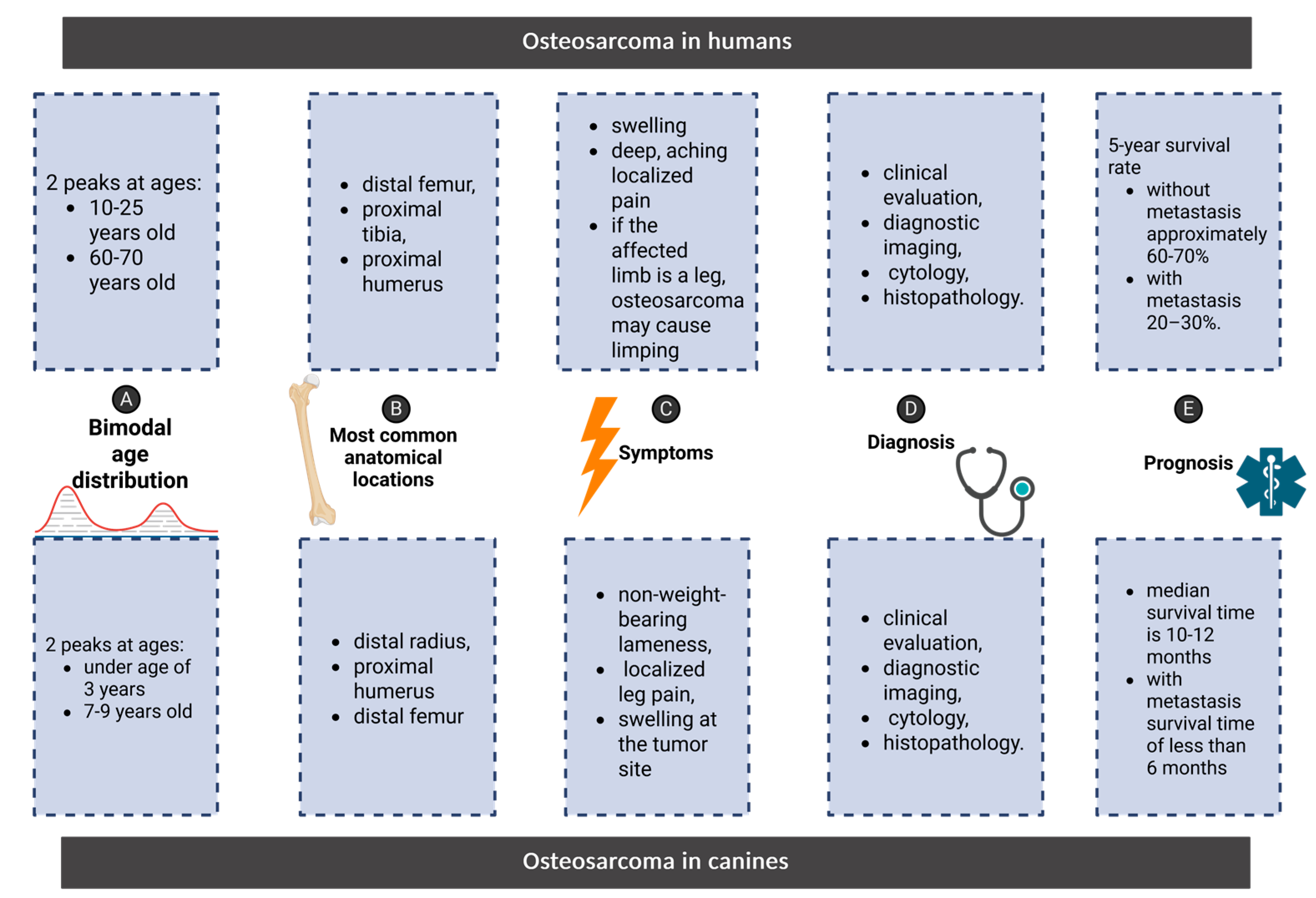Preprints 155598 g001
