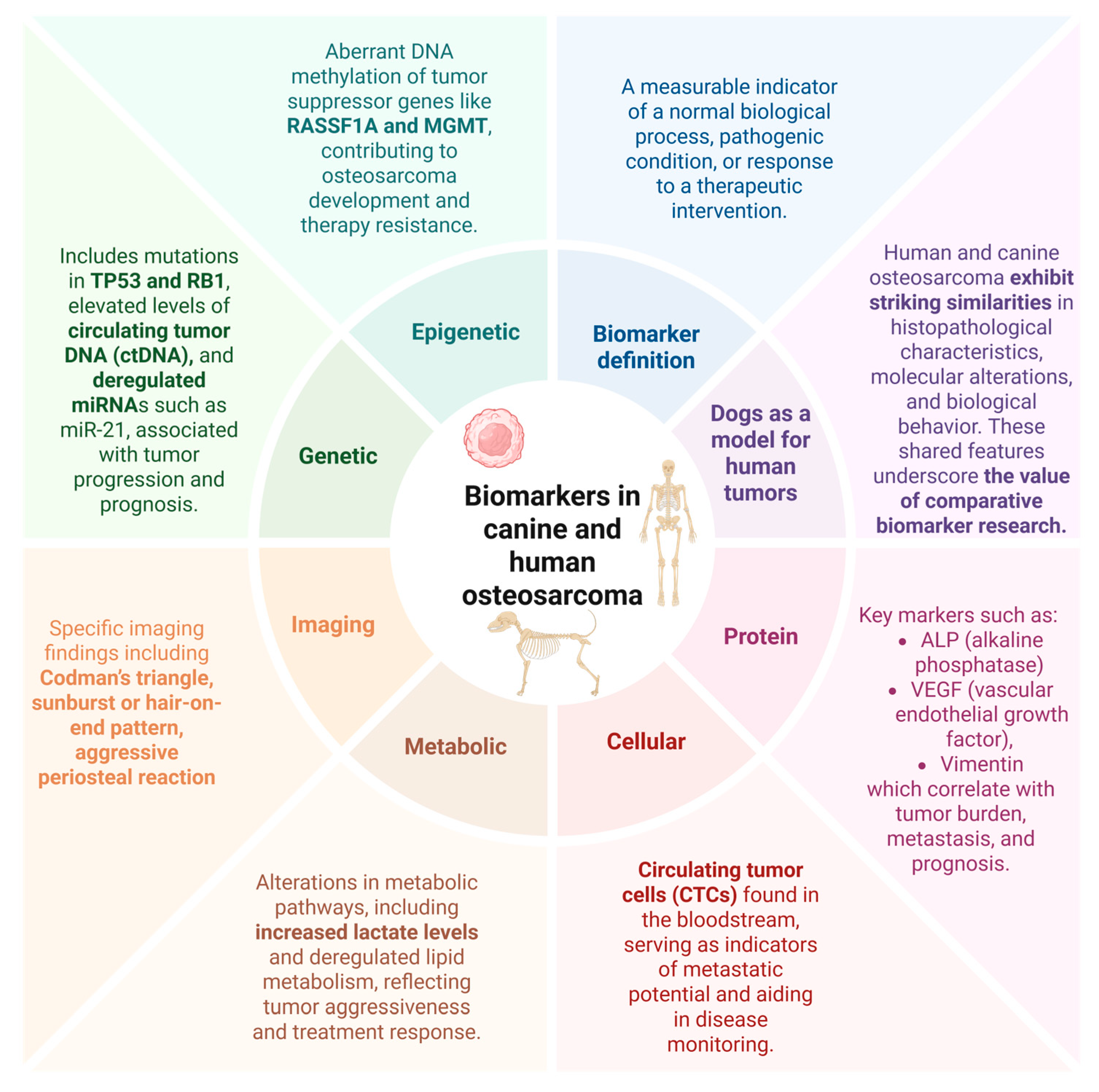 Preprints 155598 g002