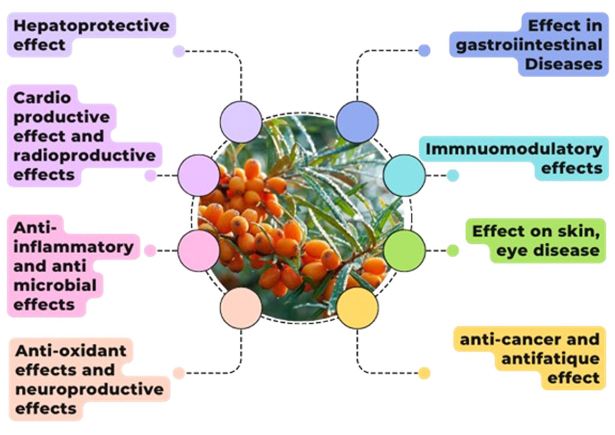 Preprints 158327 g001