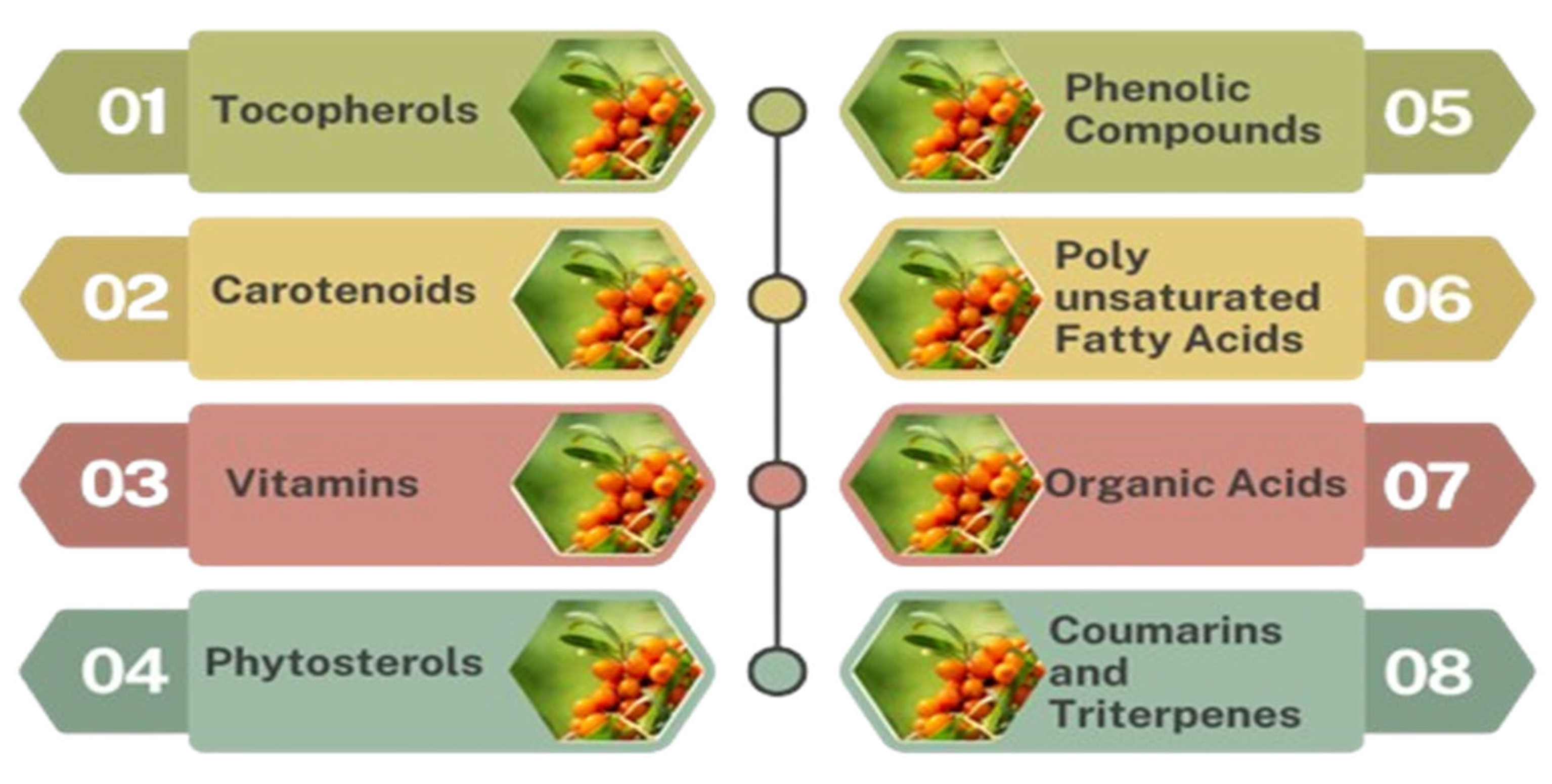 Preprints 158327 g003