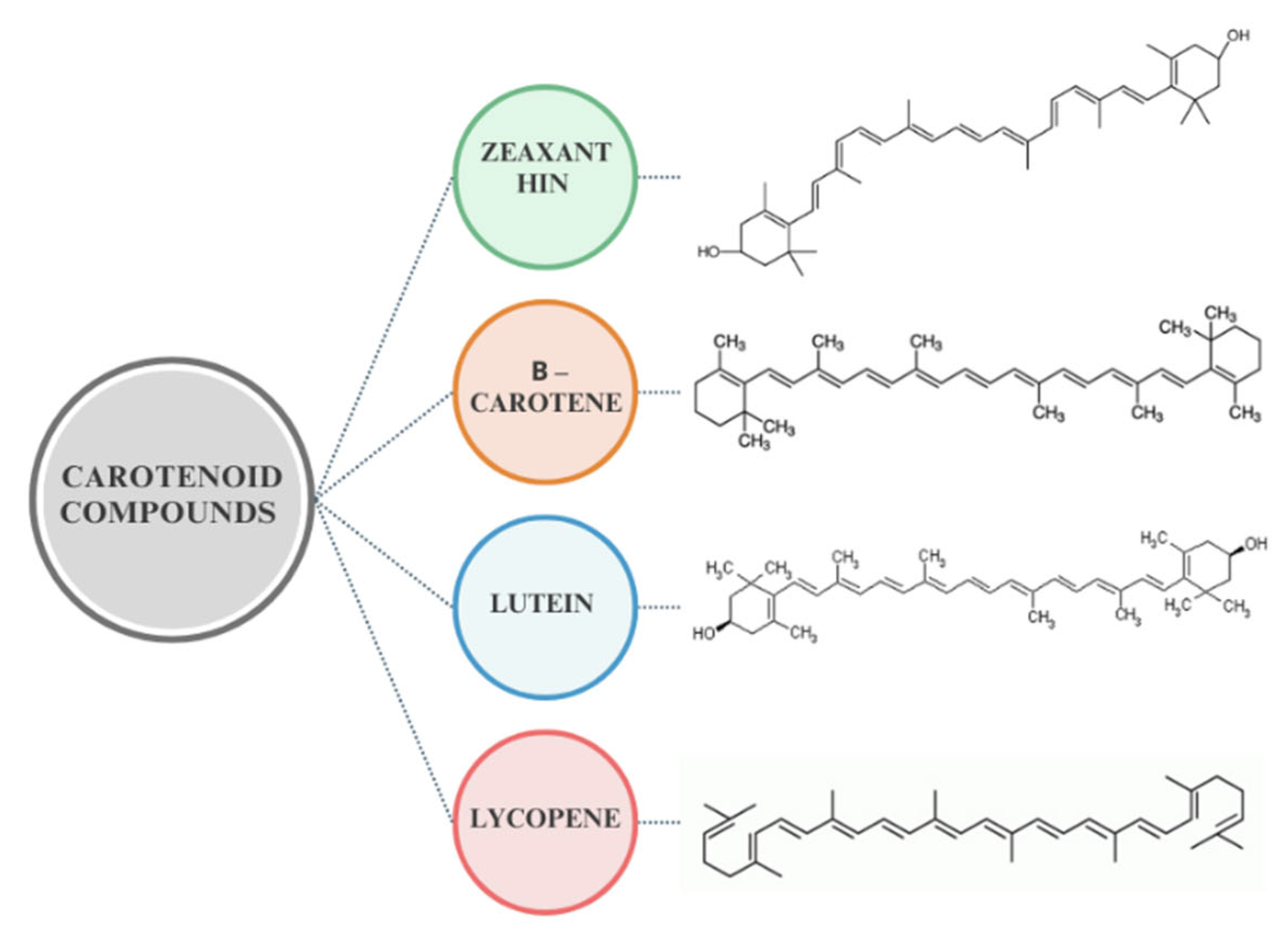 Preprints 158327 g006