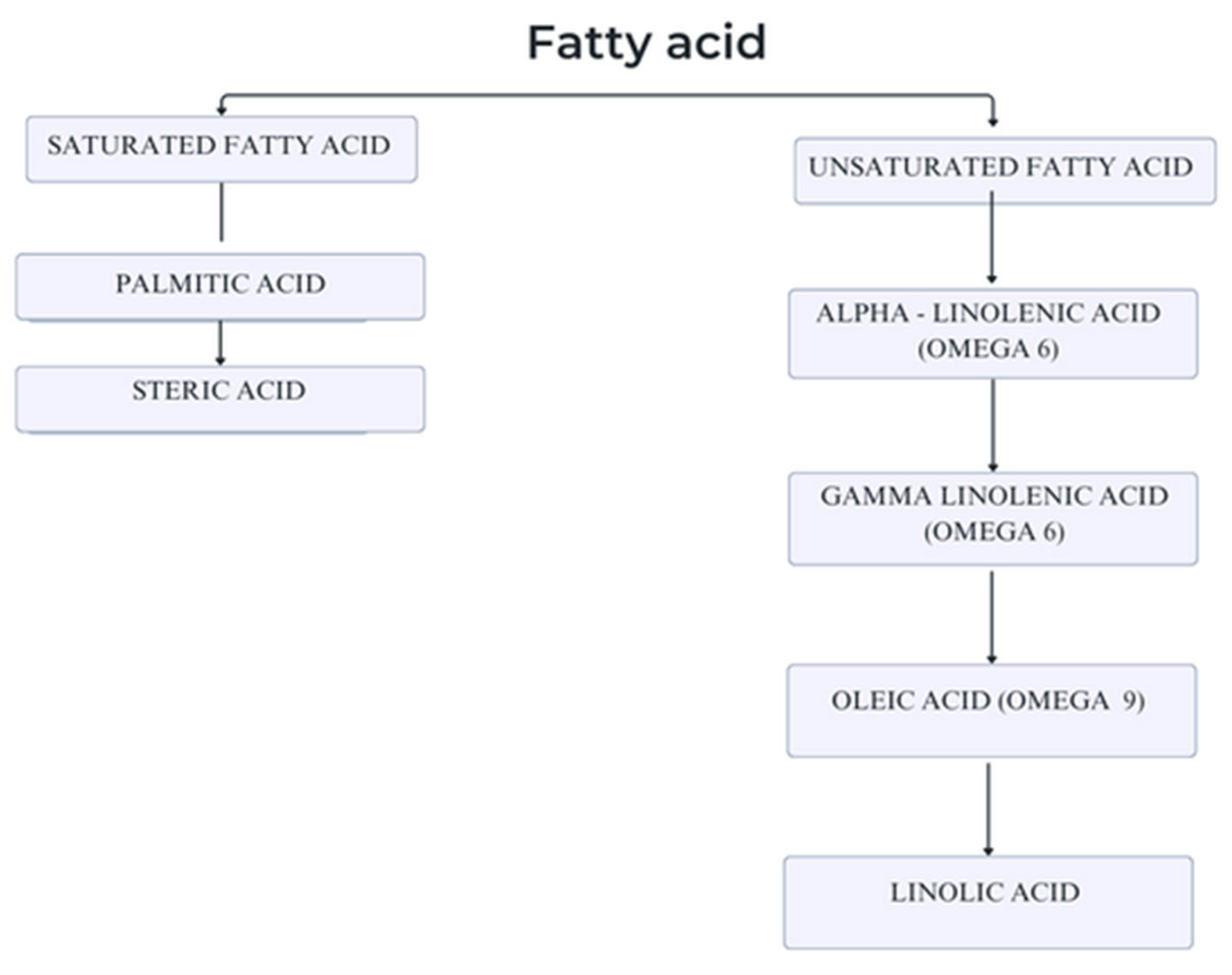 Preprints 158327 g008