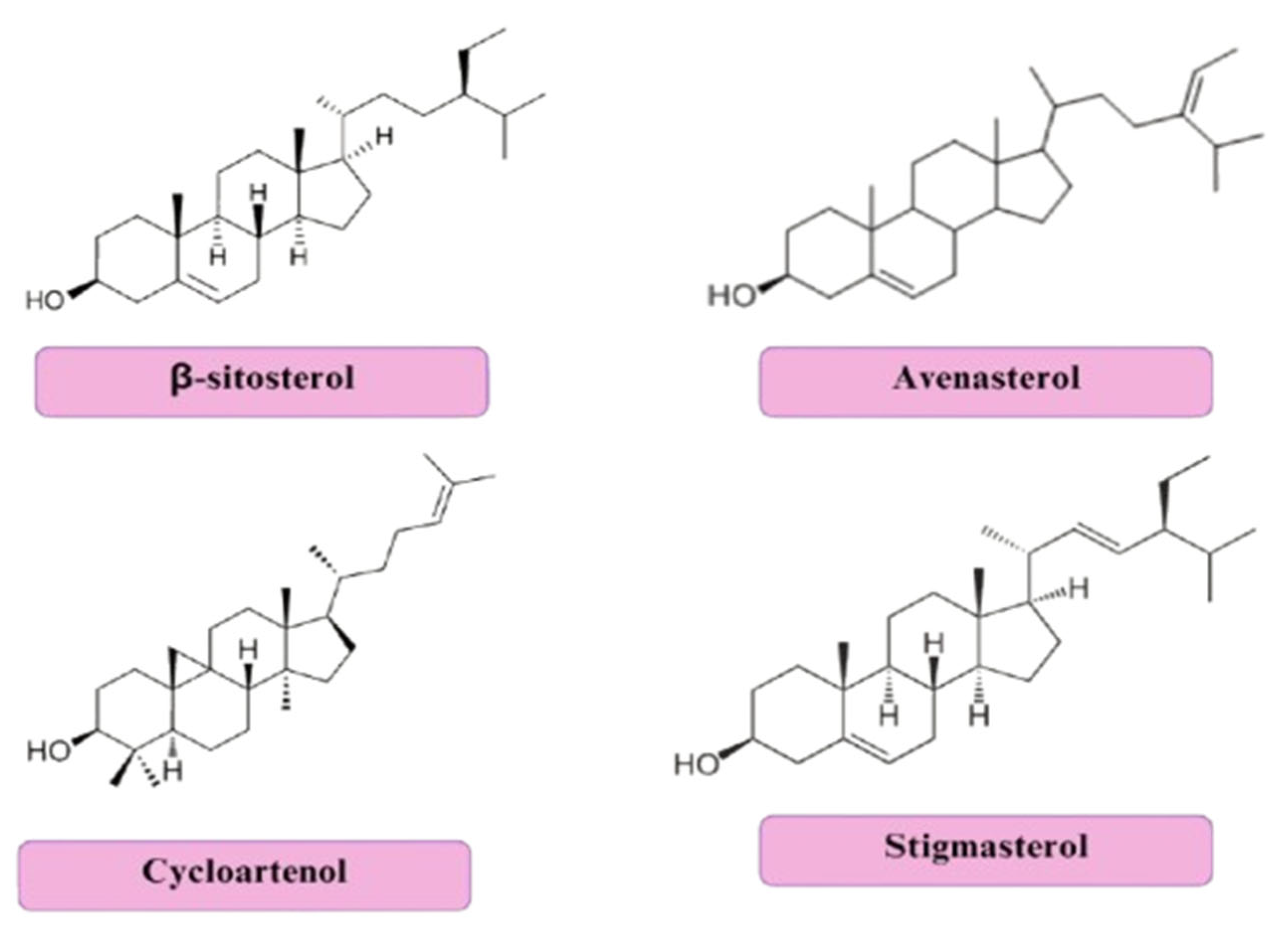 Preprints 158327 g009