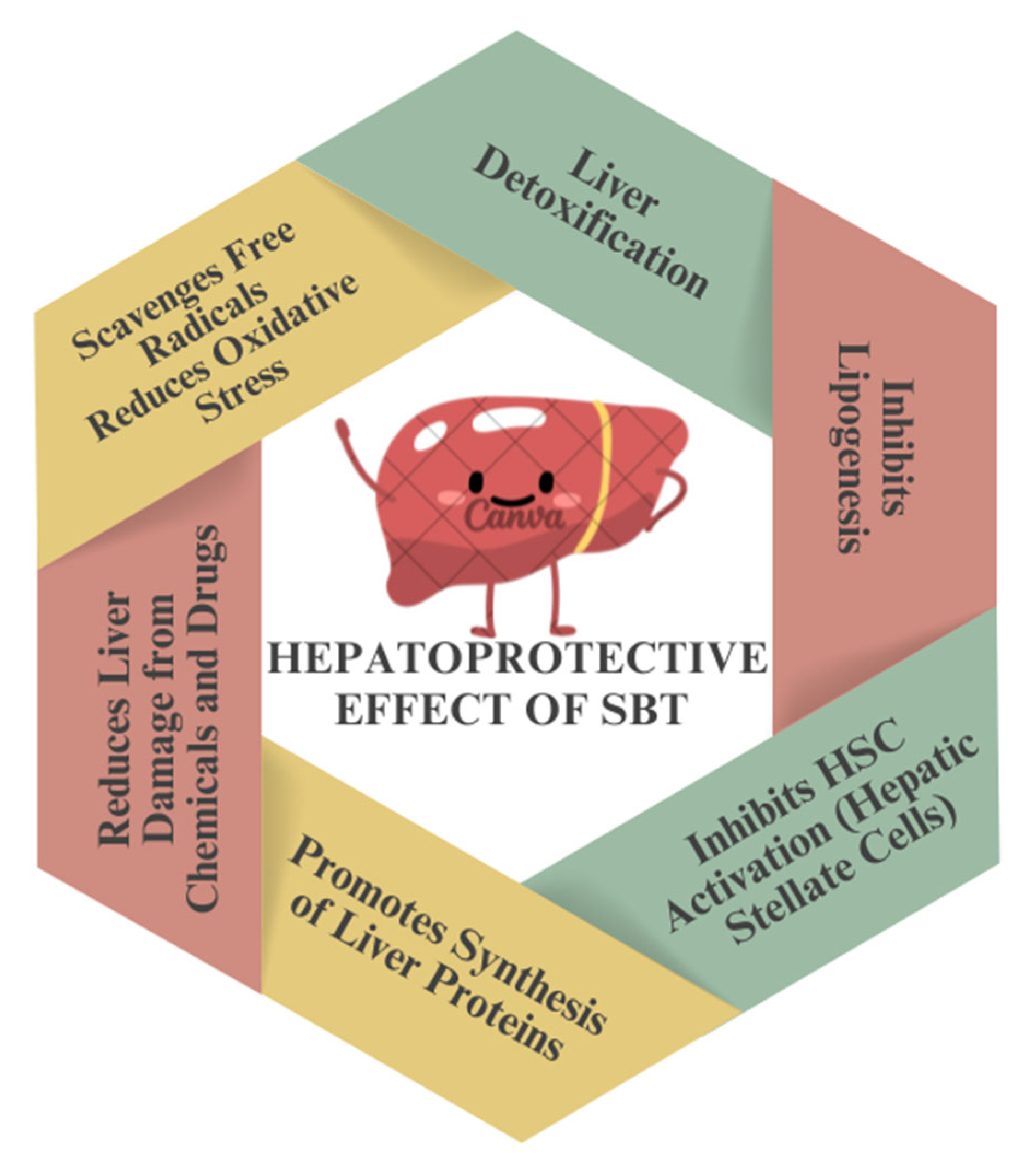 Preprints 158327 g013