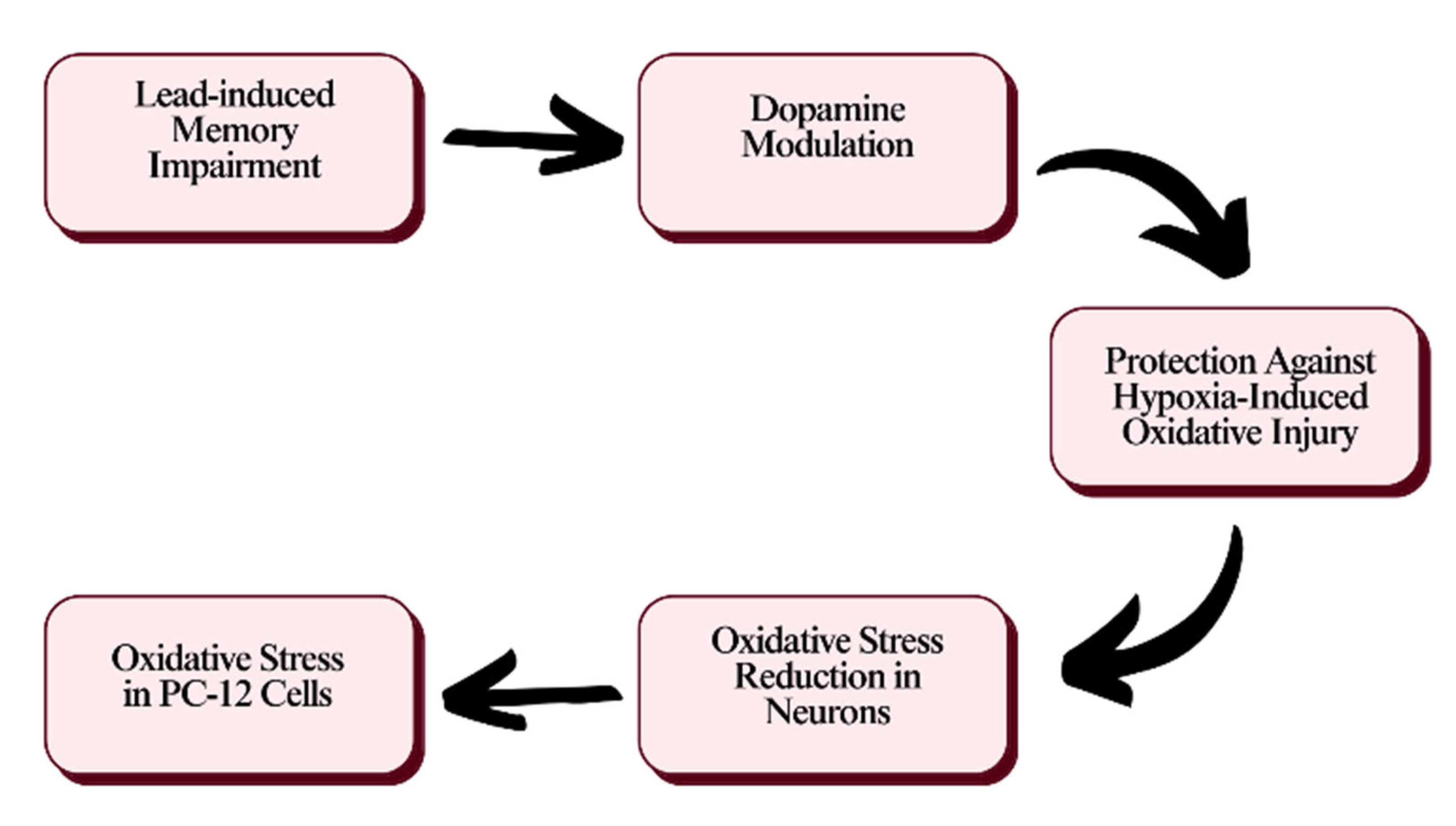 Preprints 158327 g016