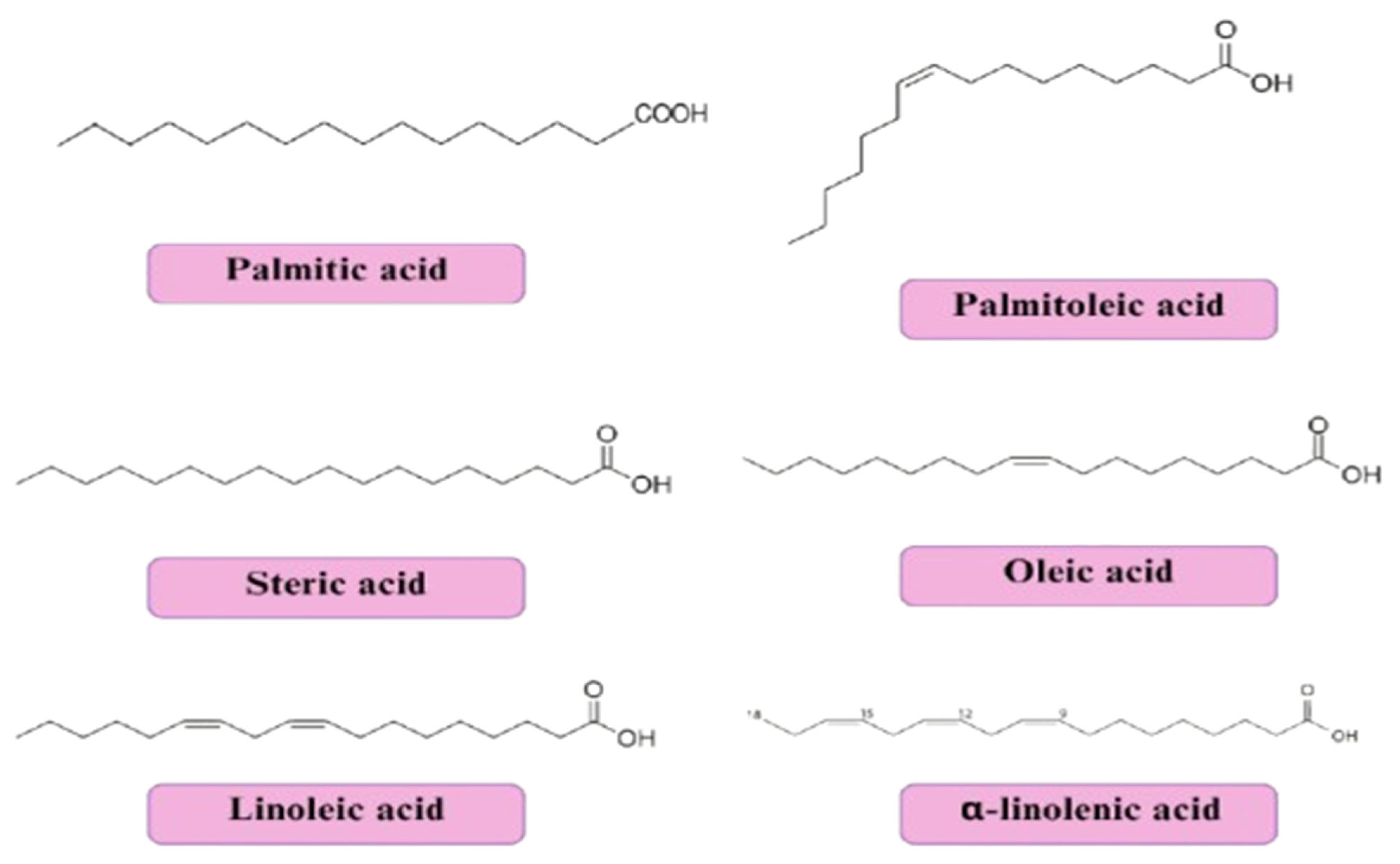 Preprints 158327 i002