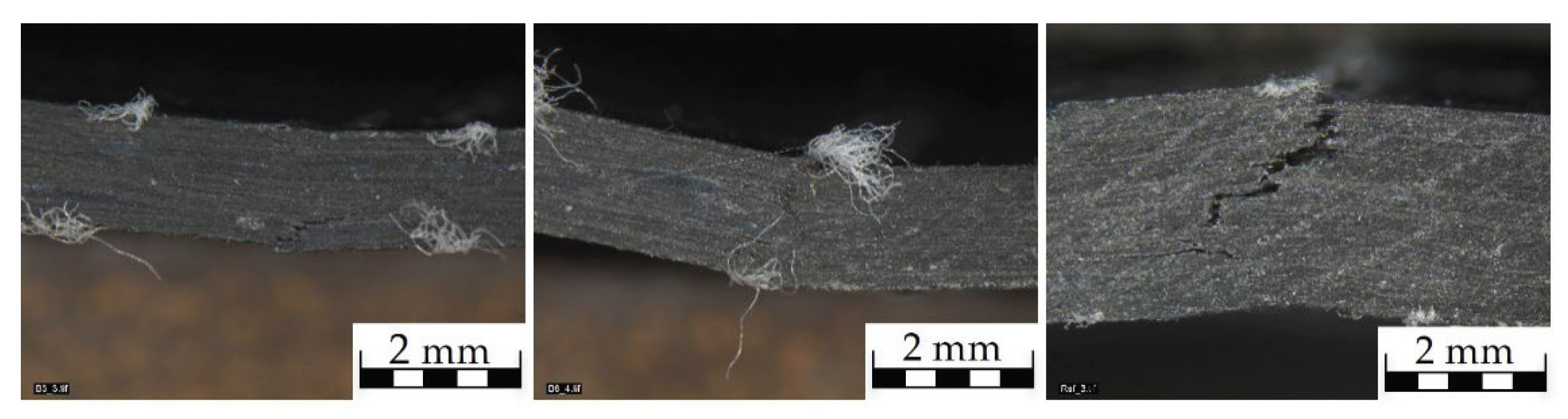 Preprints 172615 g009