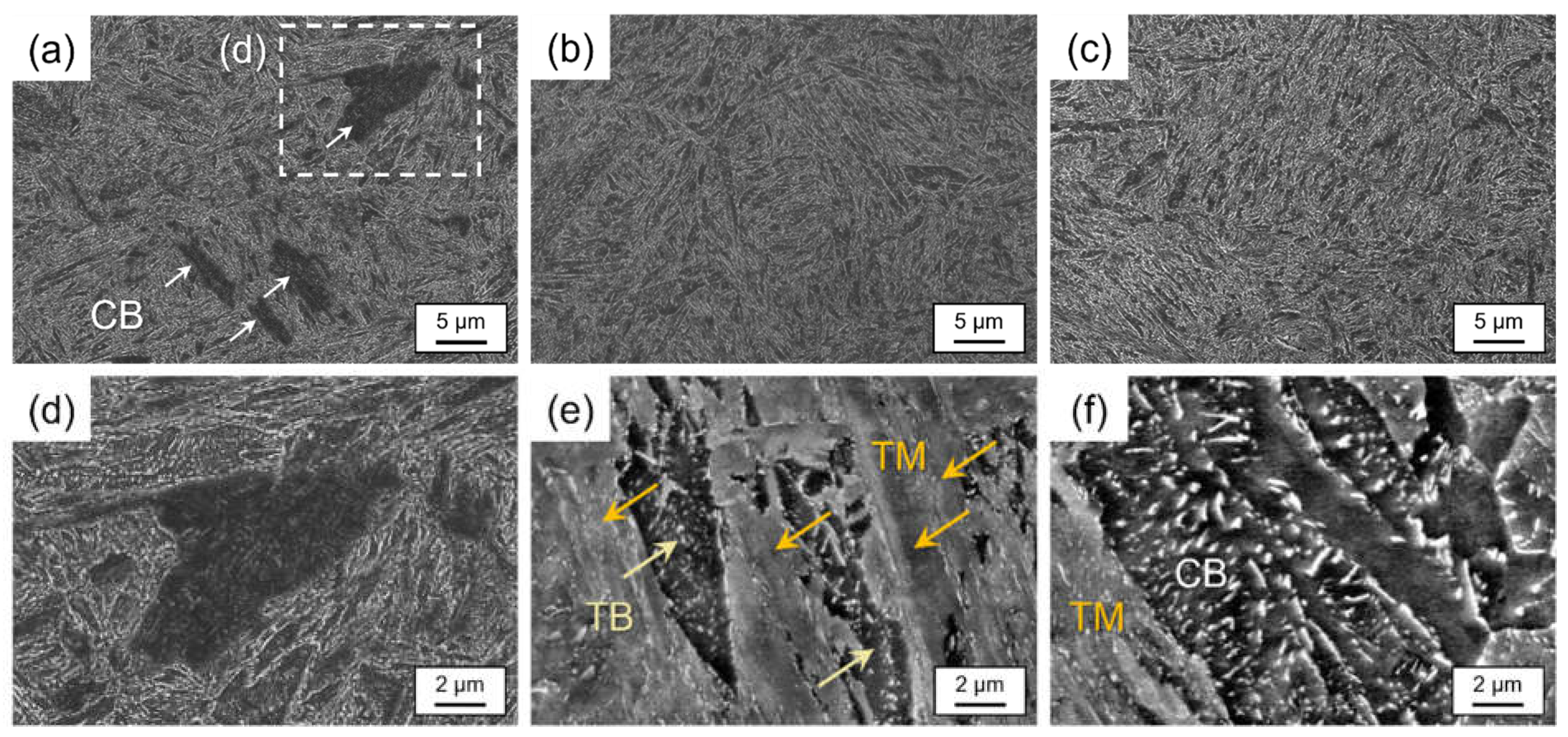 Preprints 117684 g002