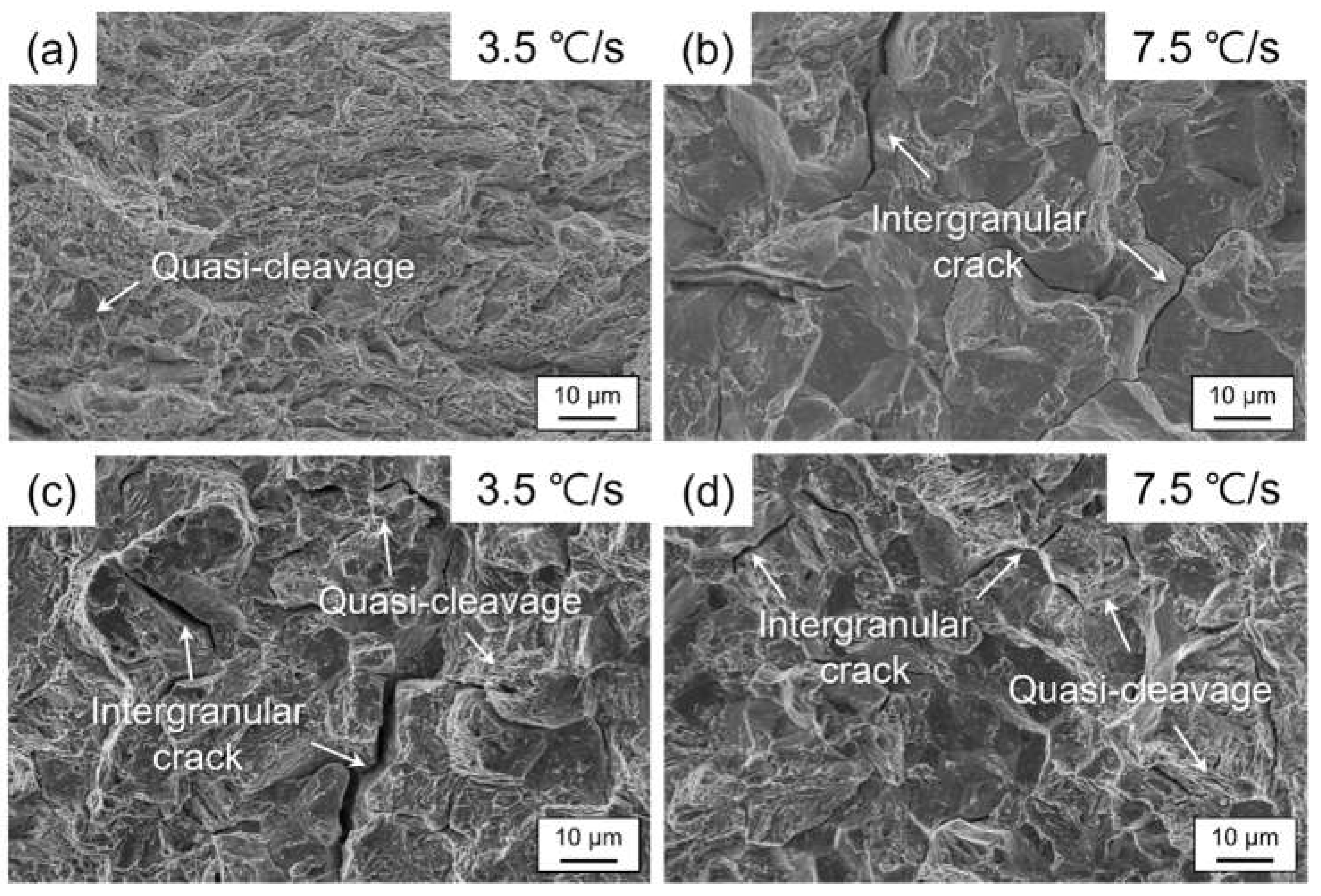 Preprints 117684 g006