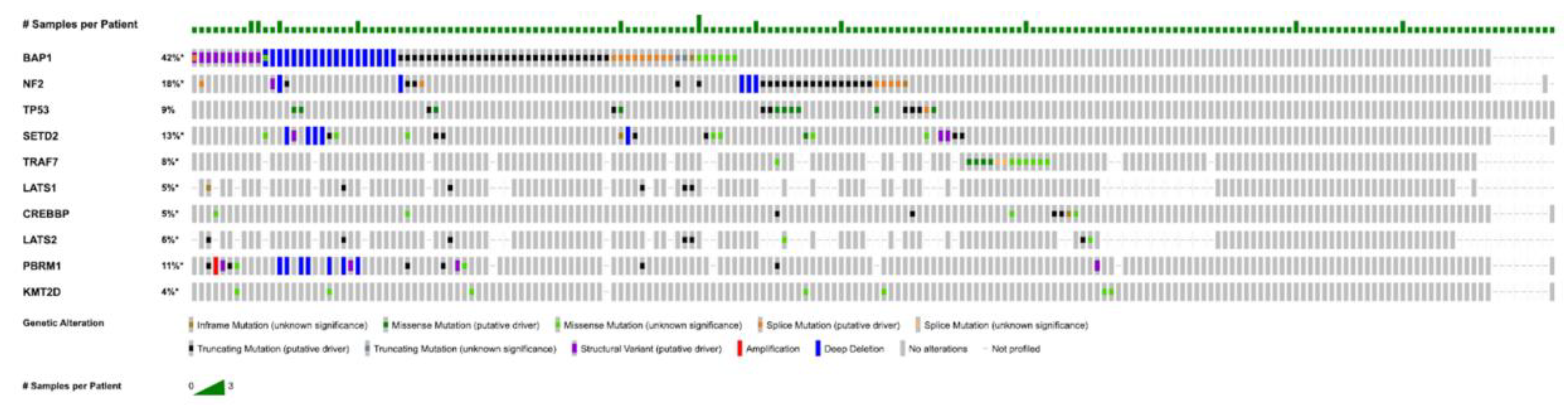 Preprints 185021 g001