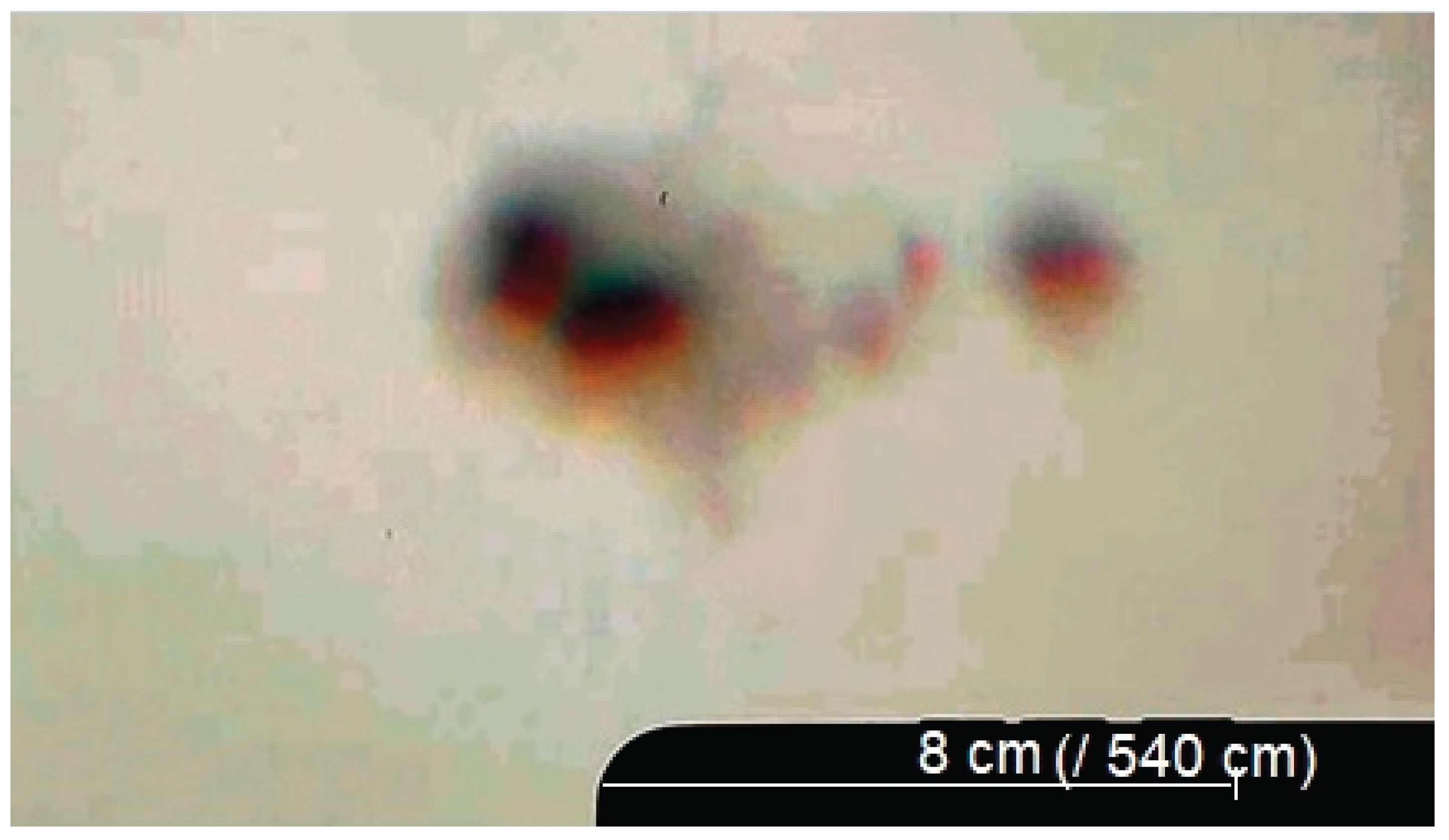 Preprints 176198 g013